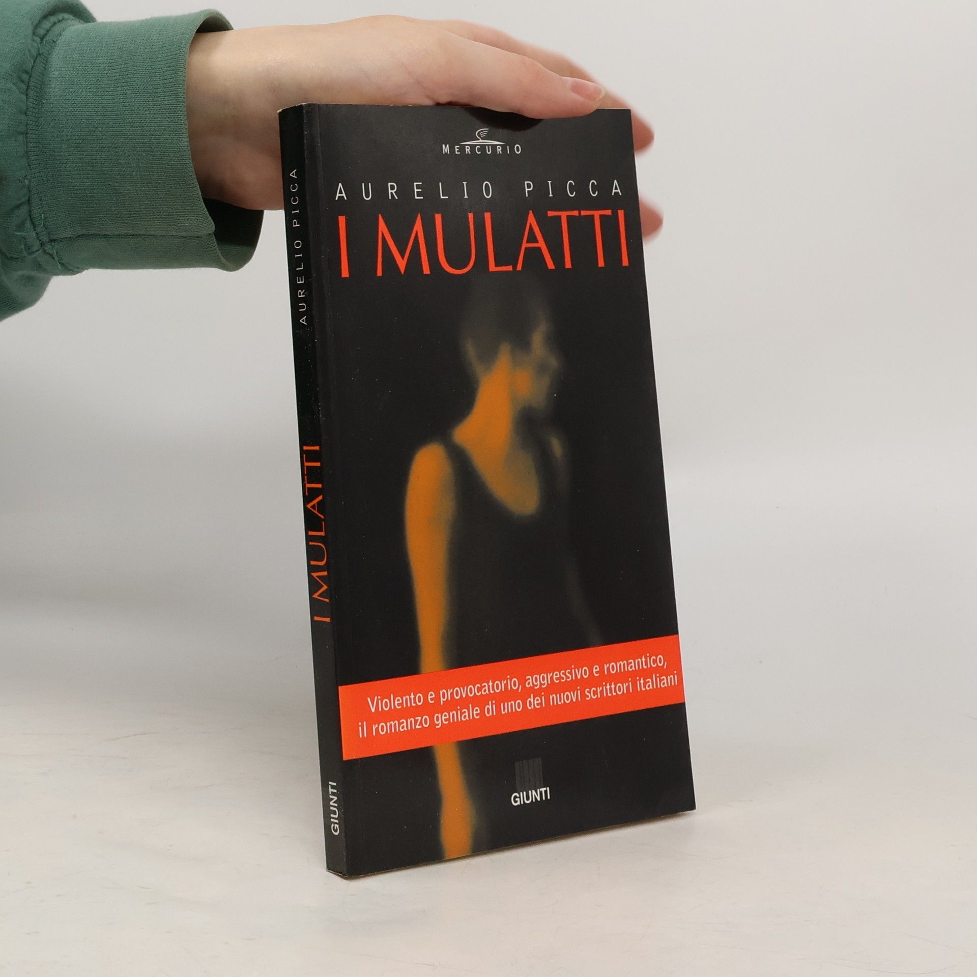 Aurelio Picca I mulatti