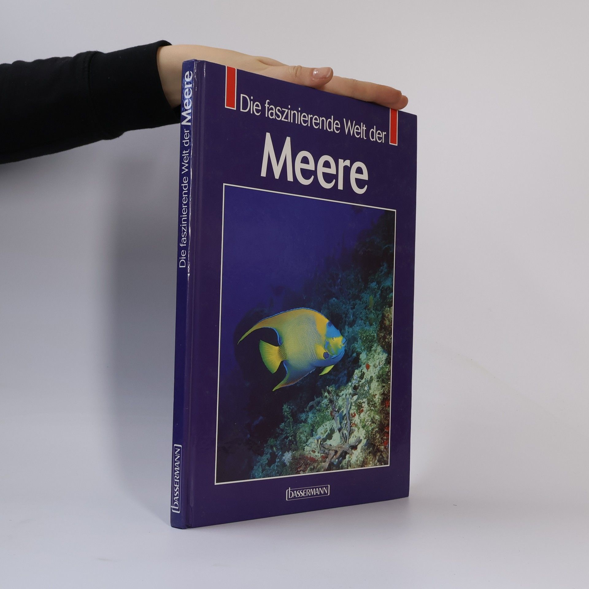 Autorenkollektiv Die faszinierende Welt der Meere