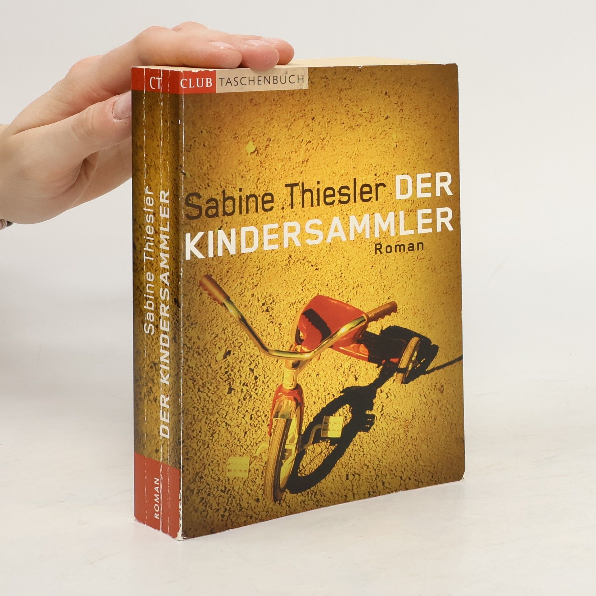 Sabine Thiesler Der Kindersammler