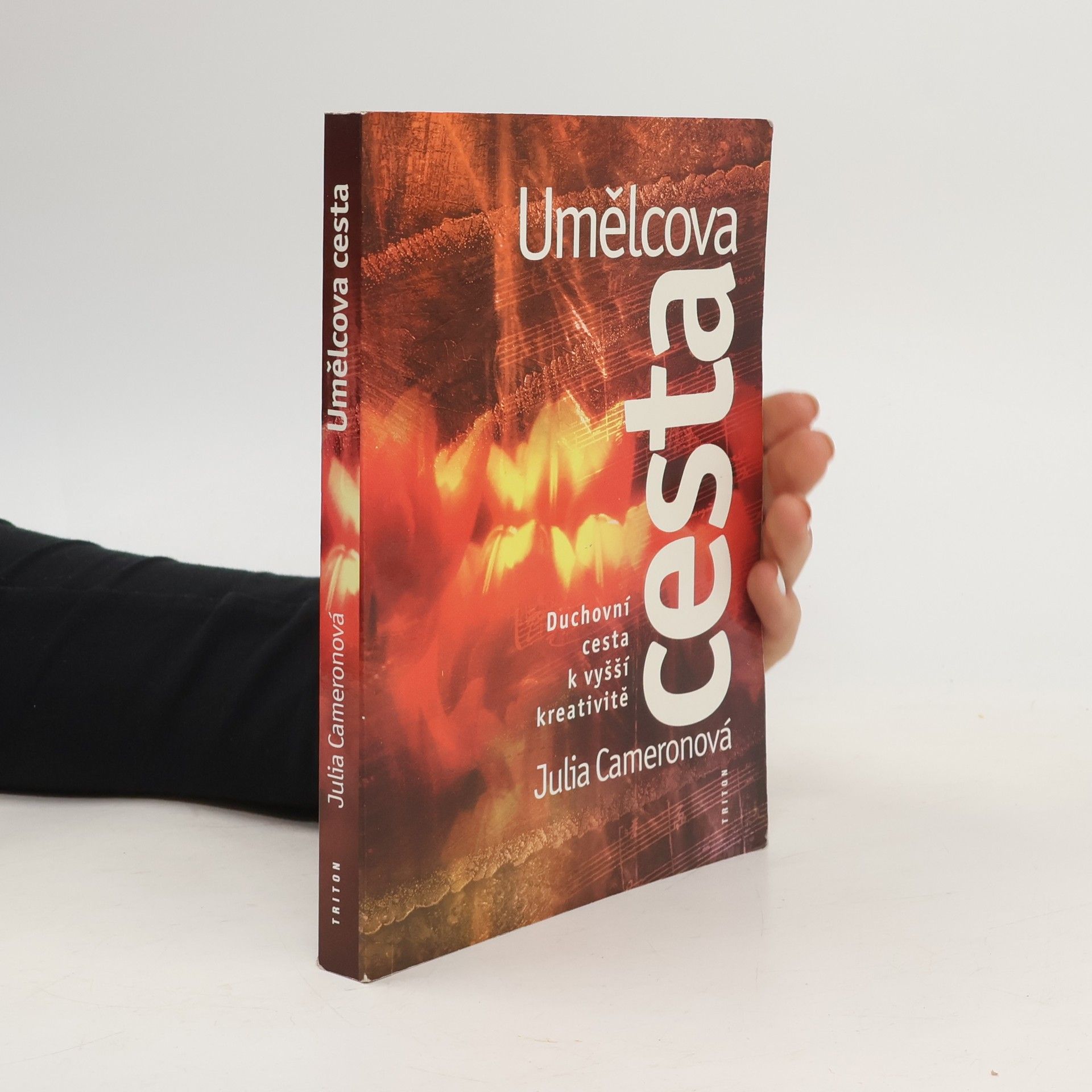 Julia Cameron Umělcova cesta
