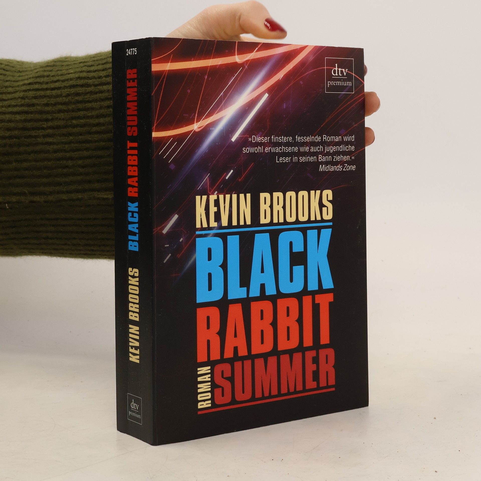 Kevin Brooks Black rabbit summer