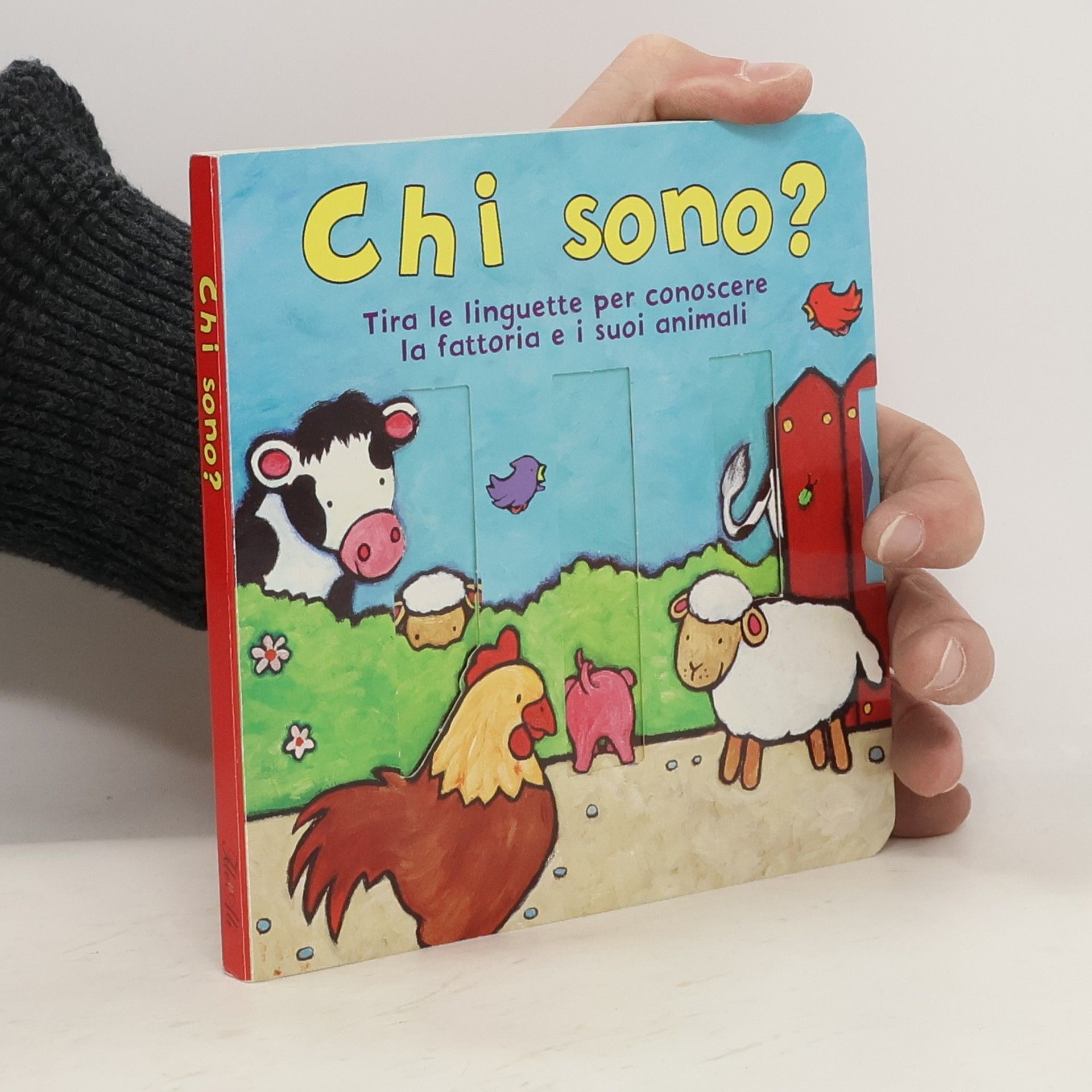 Rachel Elliot Chi sono?