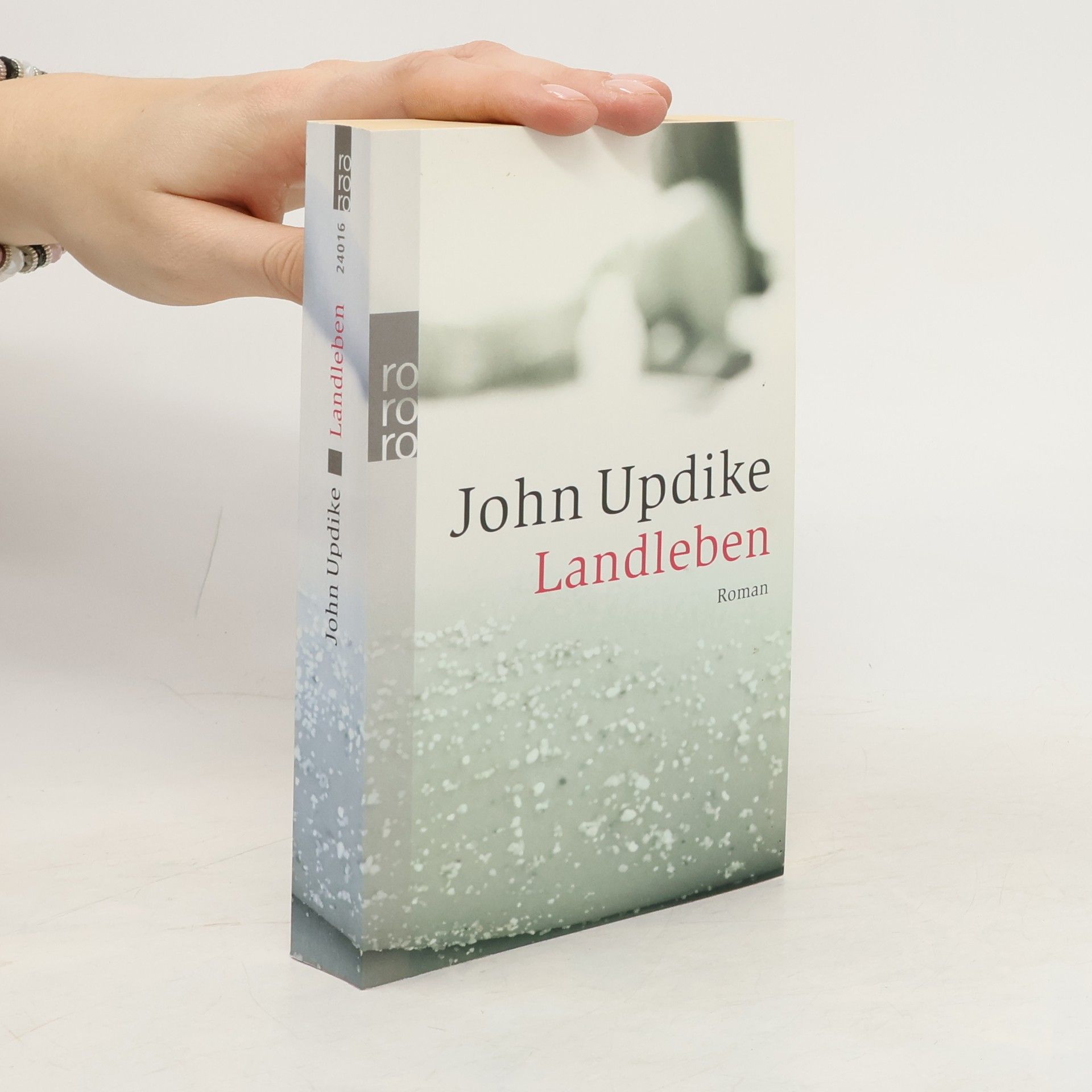 John Updike Landleben: Roman