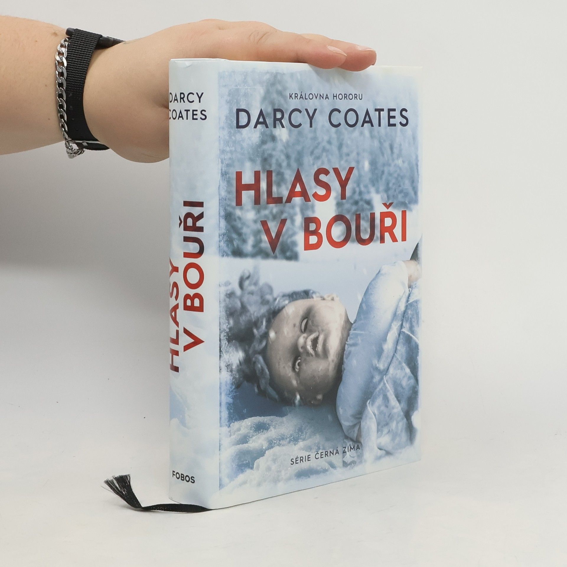 Darcy Coates Hlasy v bouři