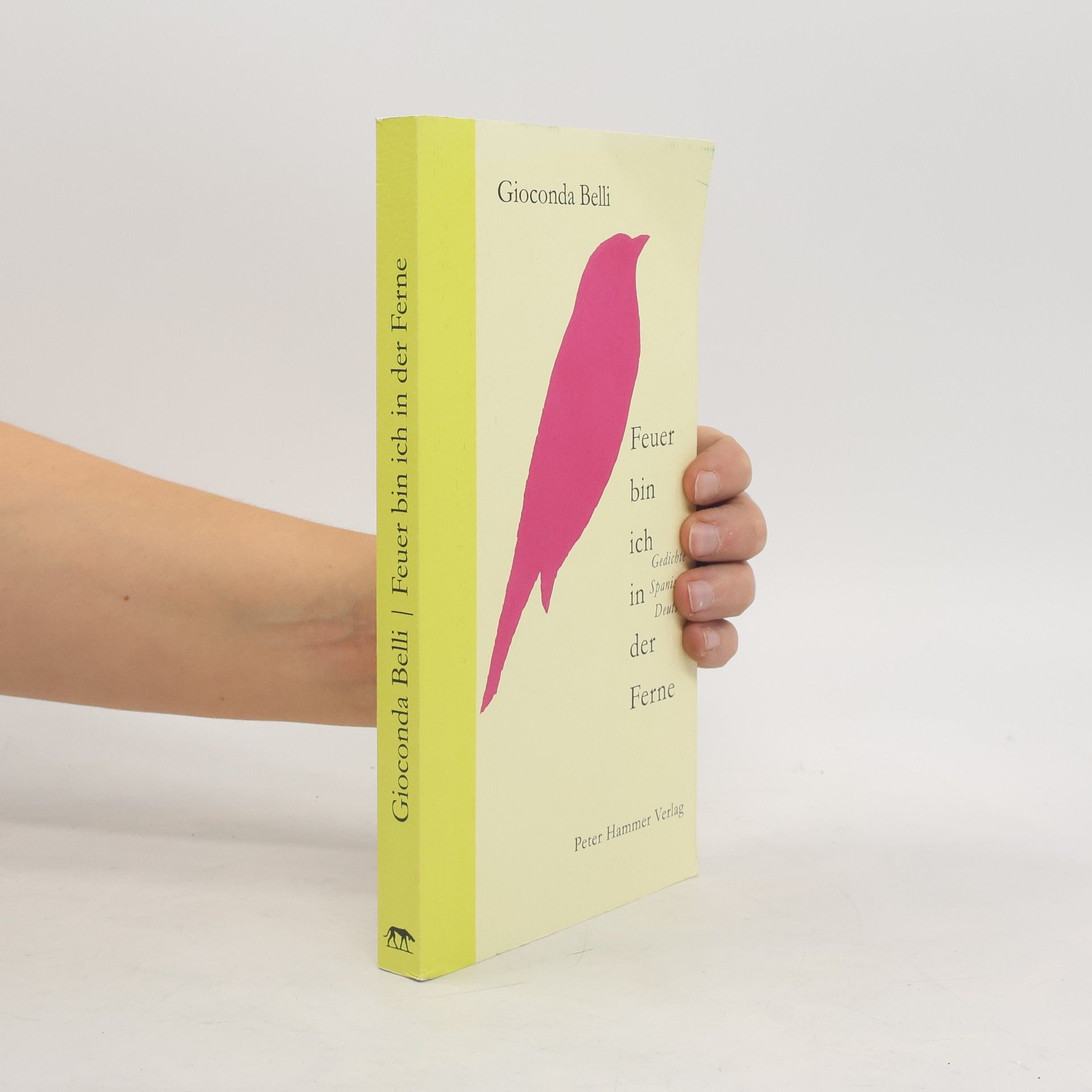 Gioconda Belli Feuer bin ich in der Ferne