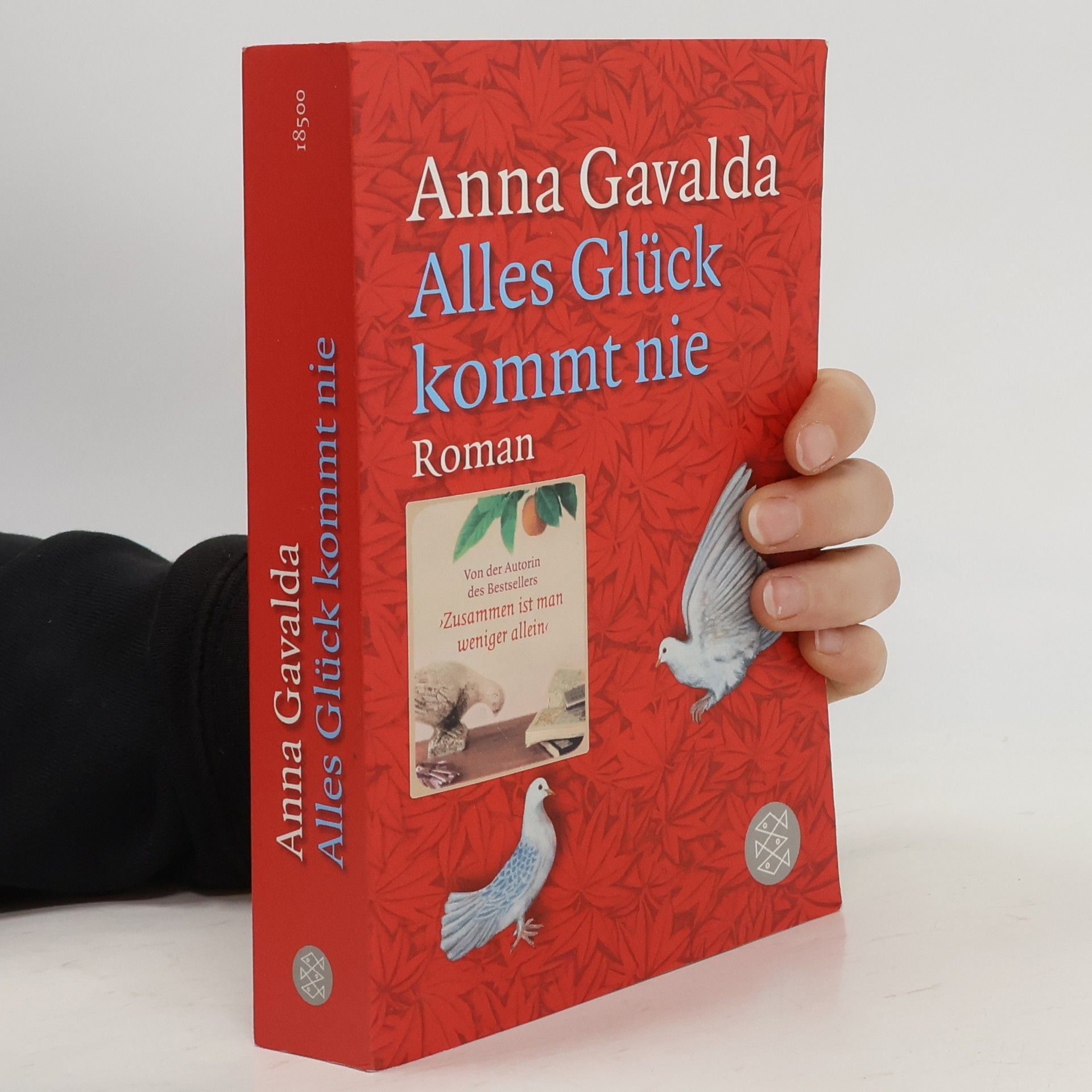 Anna Gavalda Alles Glück kommt nie