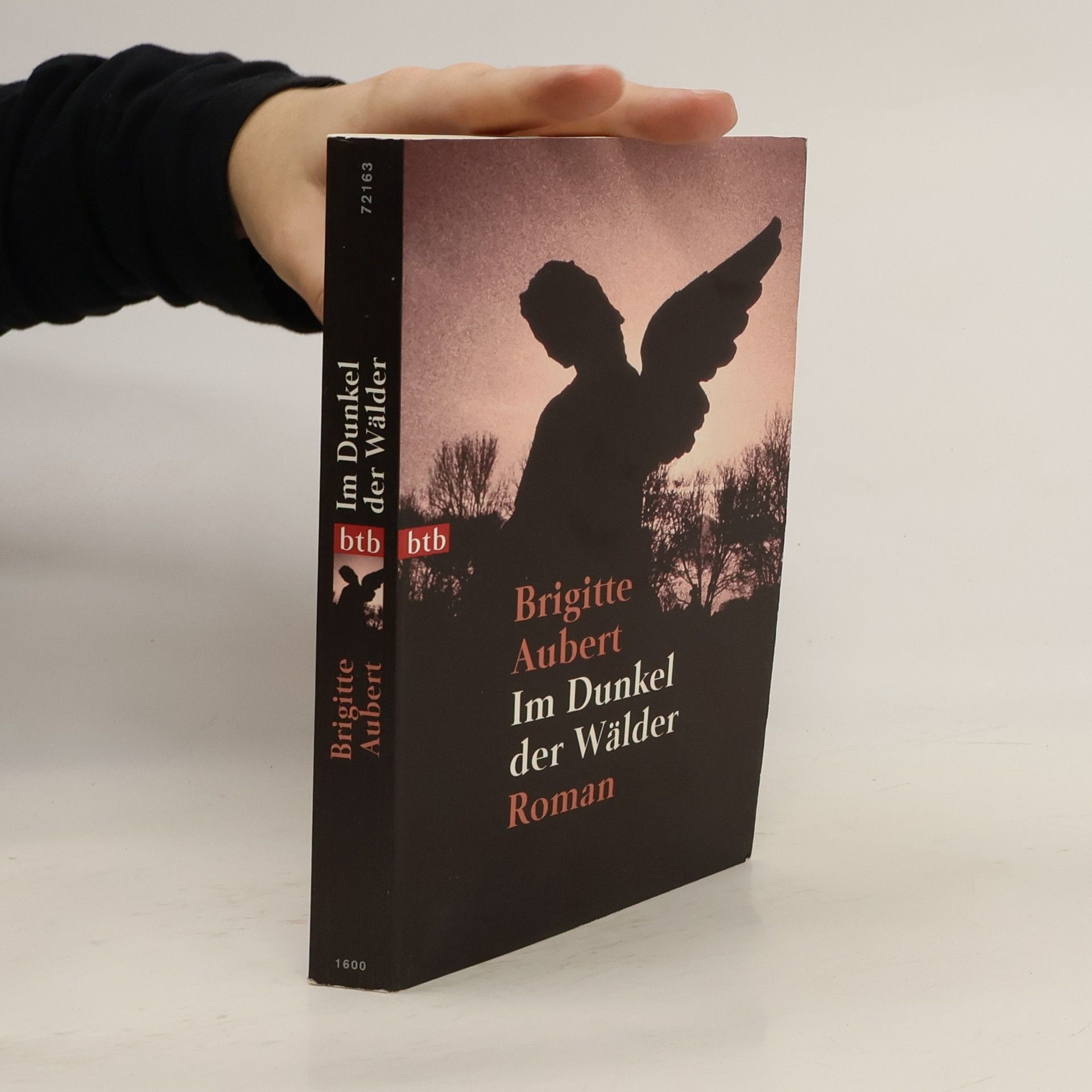 Brigitte Aubert Im Dunkel der Wald