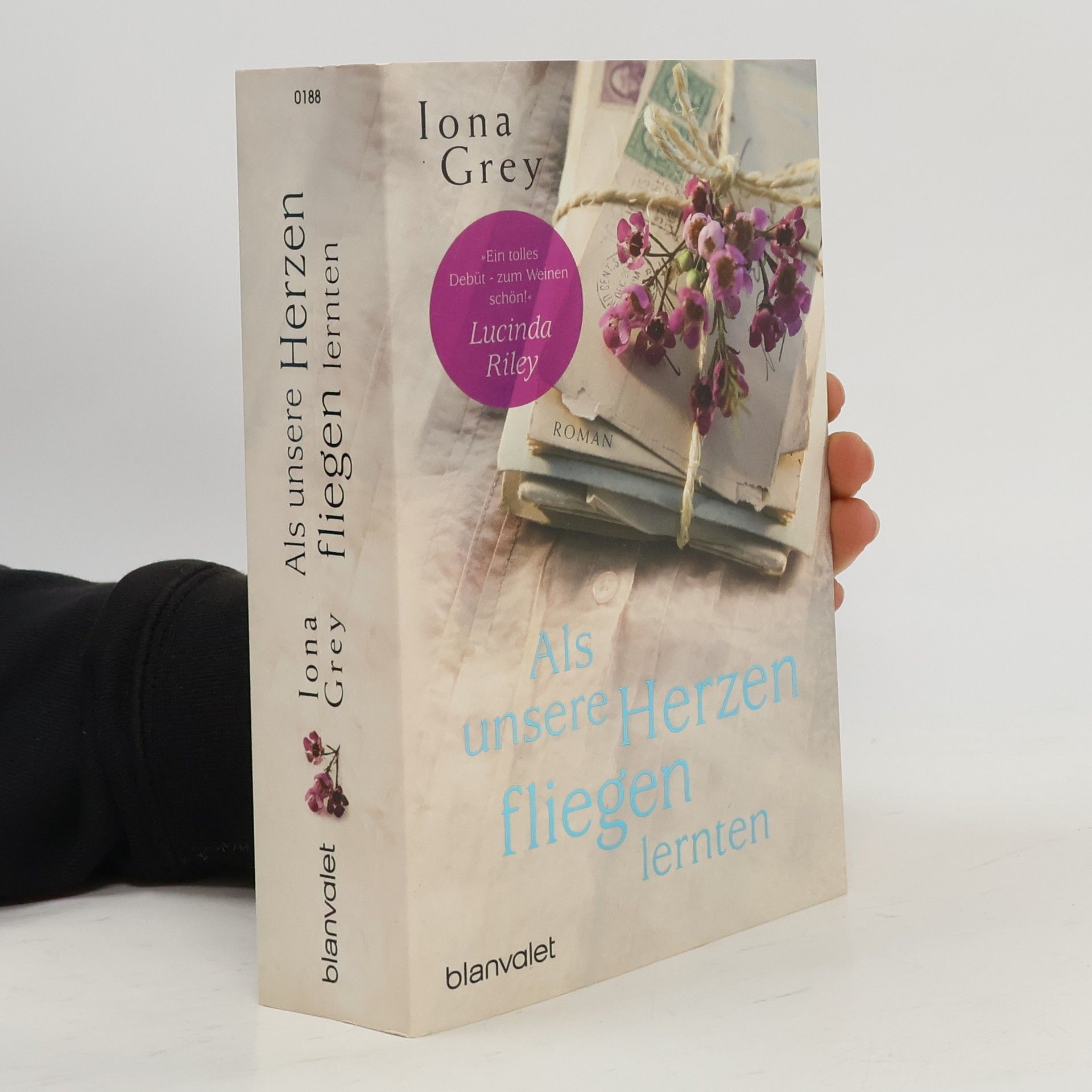 Iona Grey Als unsere Herzen fliegen lernten