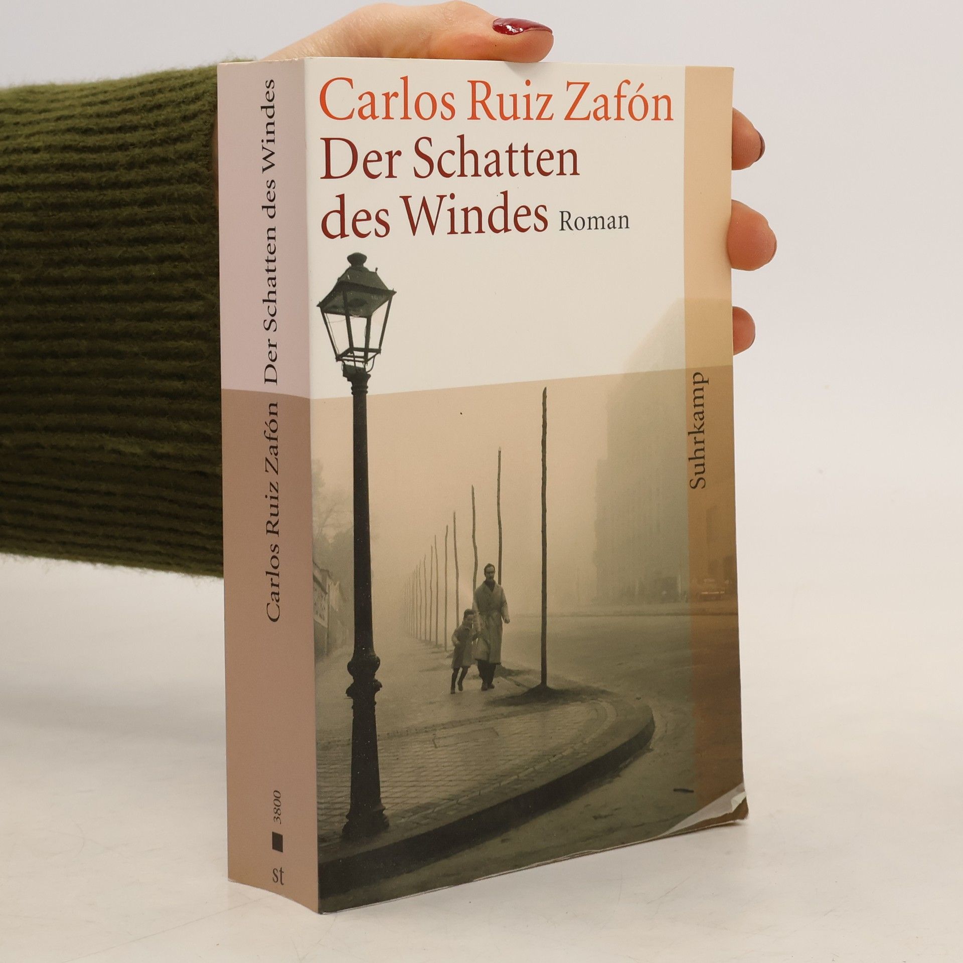 Der Schatten des Windes