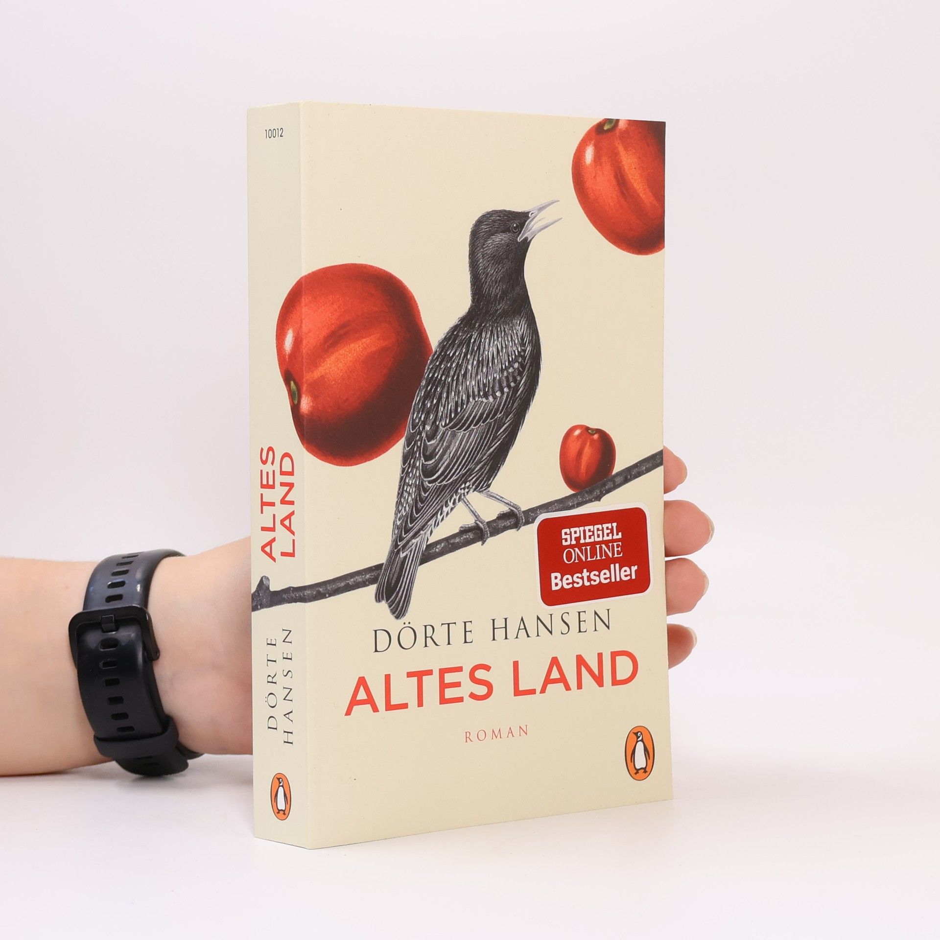 Dörte Hansen Altes Land