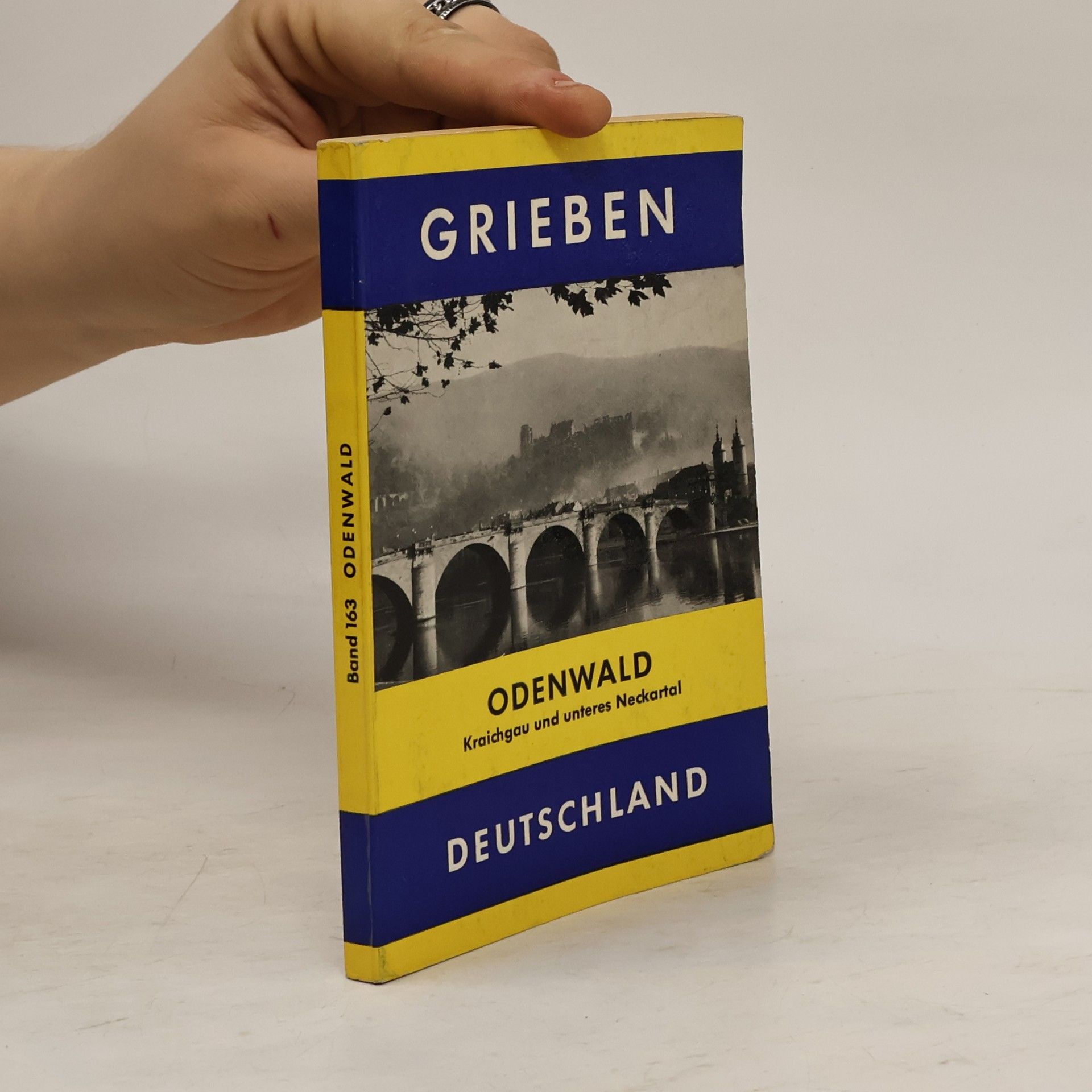 Autorenkollektiv Odenwald. Band 163