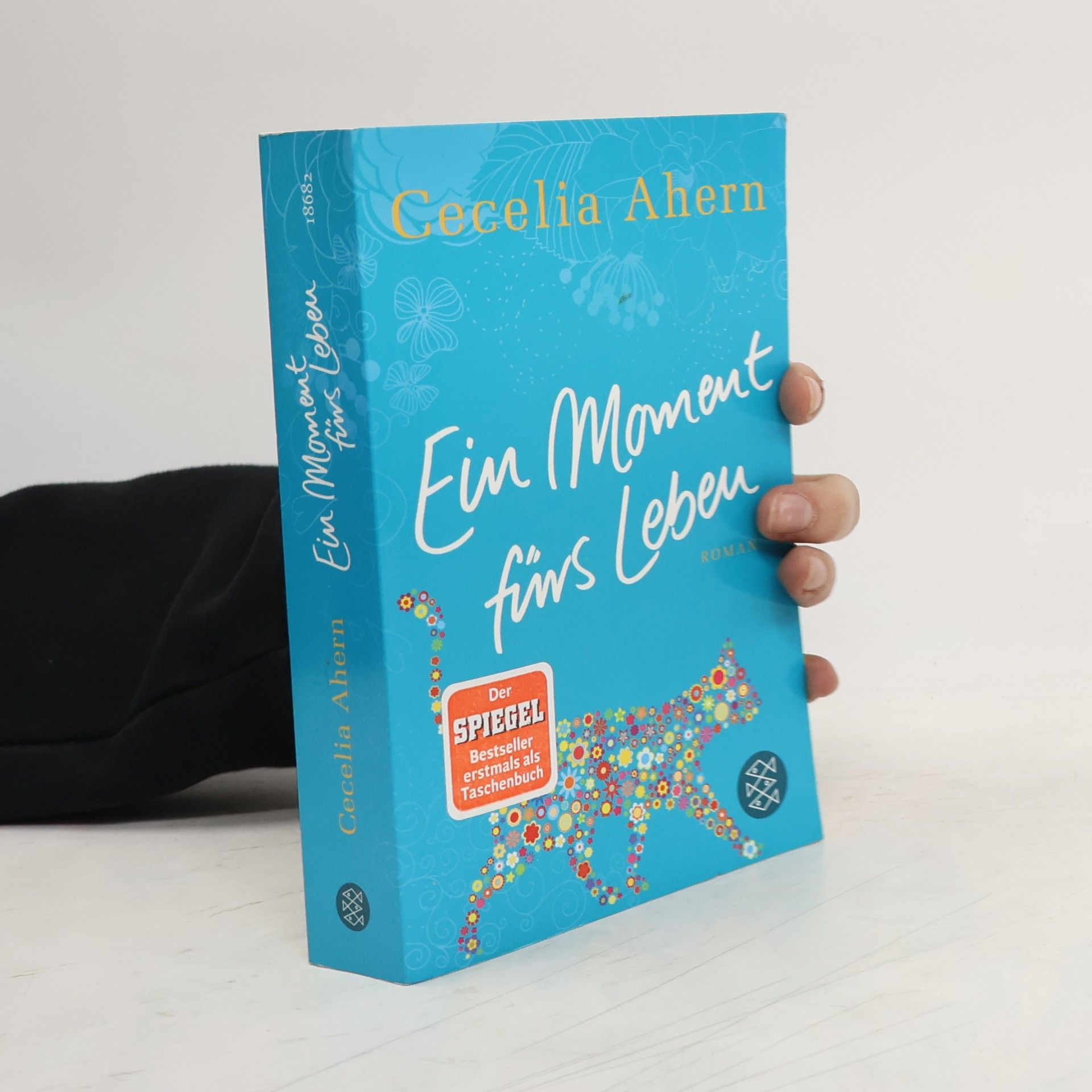 Cecelia Ahern Ein Moment fürs Leben
