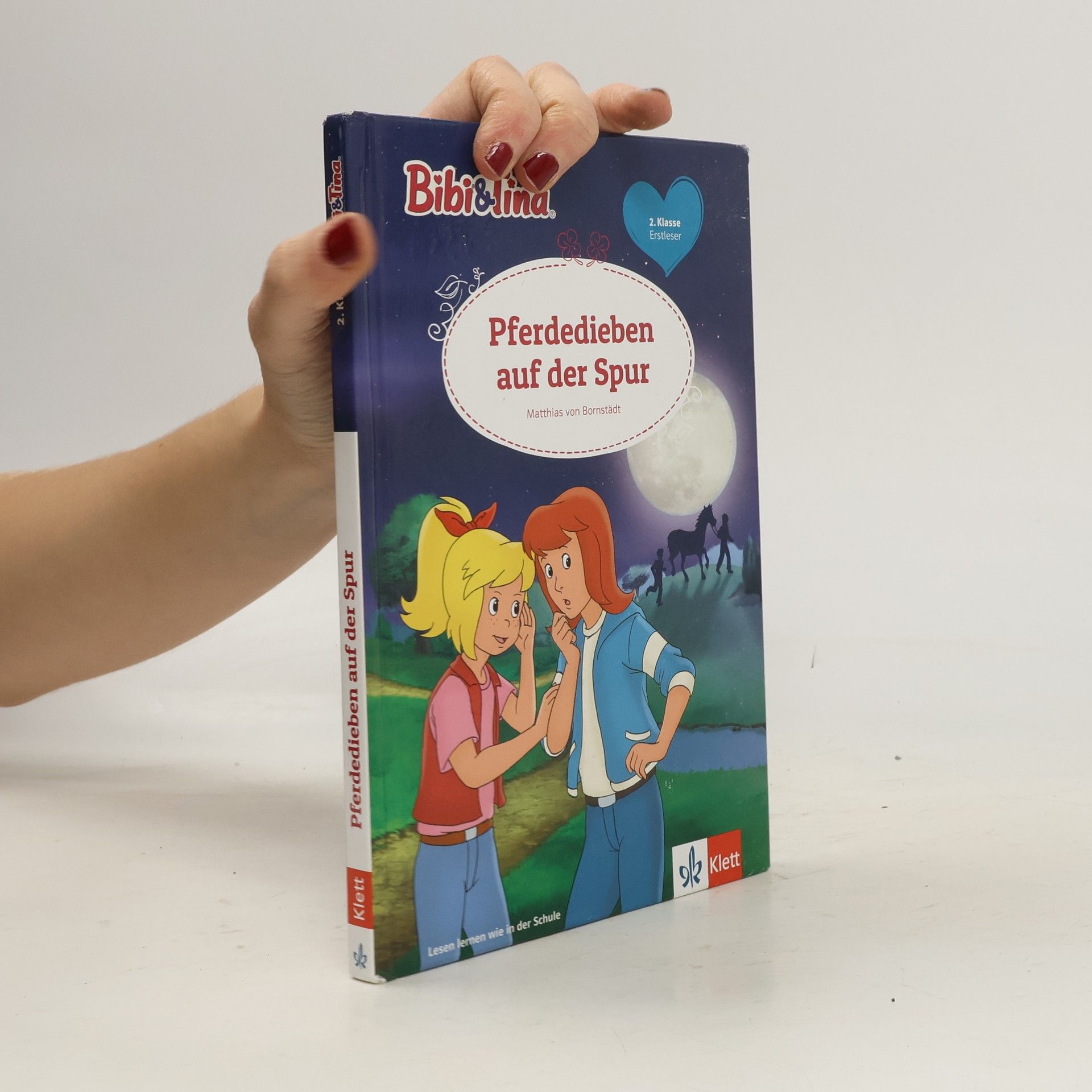 Matthias von Bornstädt Bibi & Tina: Pferdedieben auf der Spur