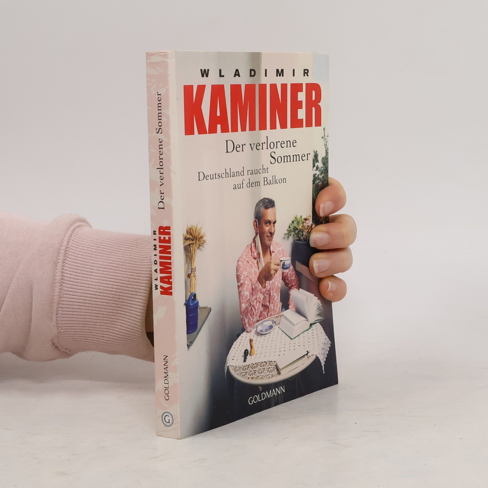 Wladimir Kaminer Der verlorene Sommer