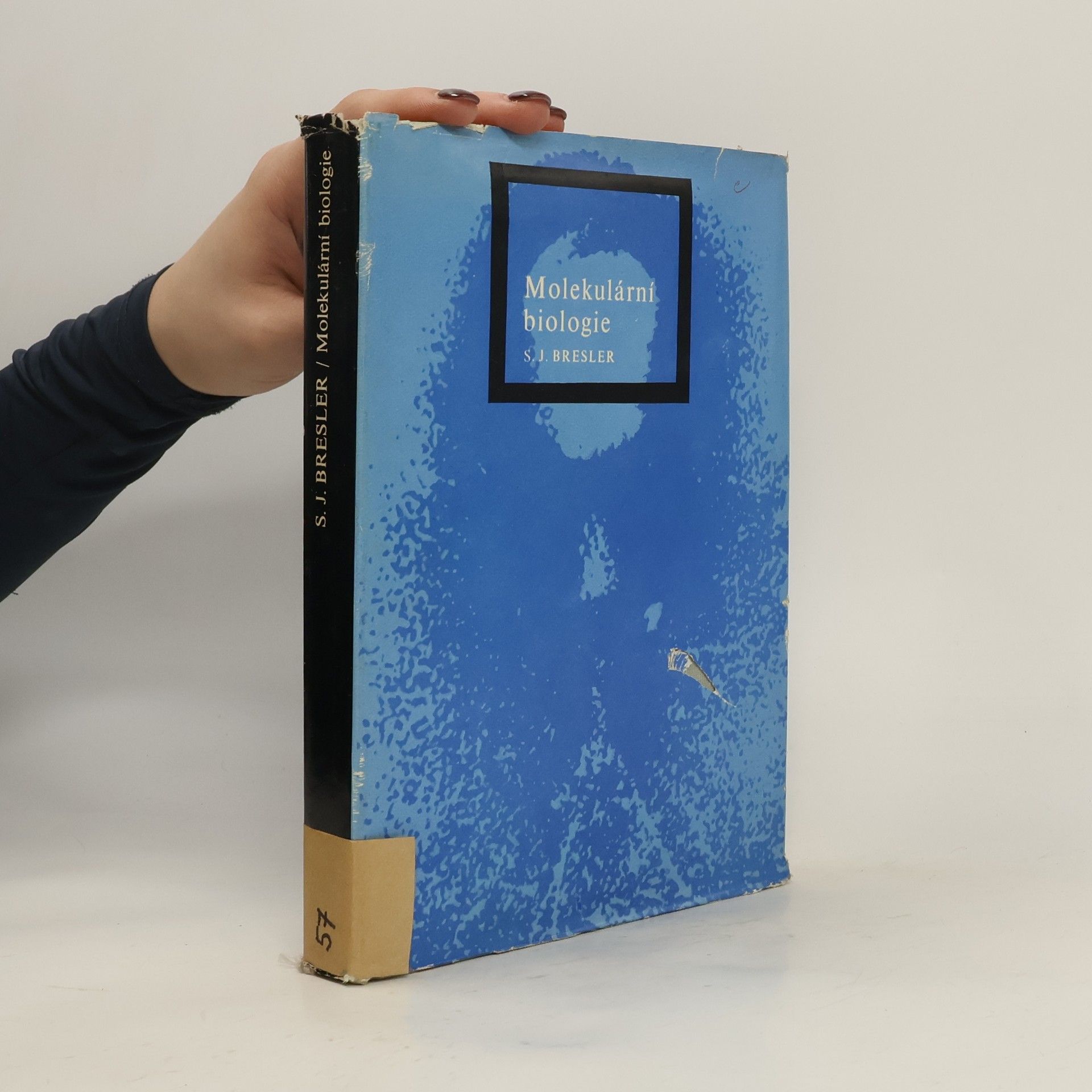 Molekulární biologie