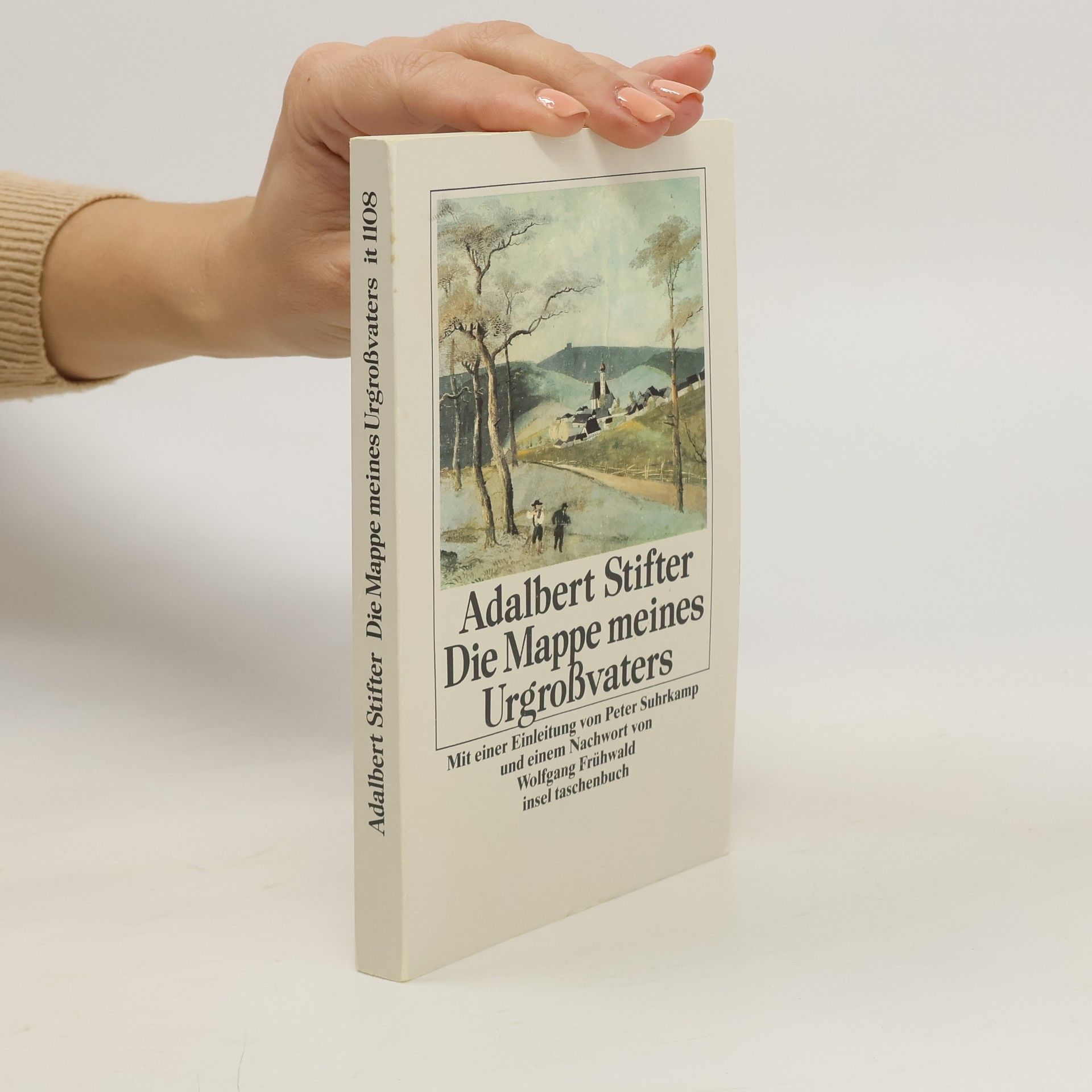 Adalbert Stifter Insel Taschenbuch - 1108: Die Mappe meines Urgrossvaters