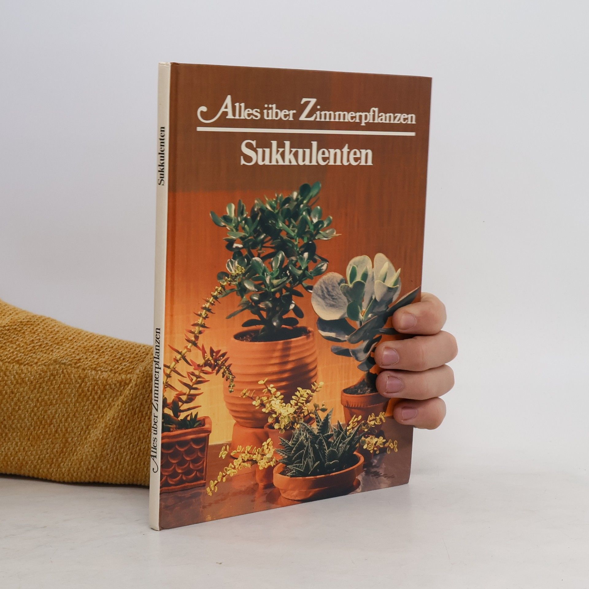 Alles über Zimmerpflanzen Sukkulenten