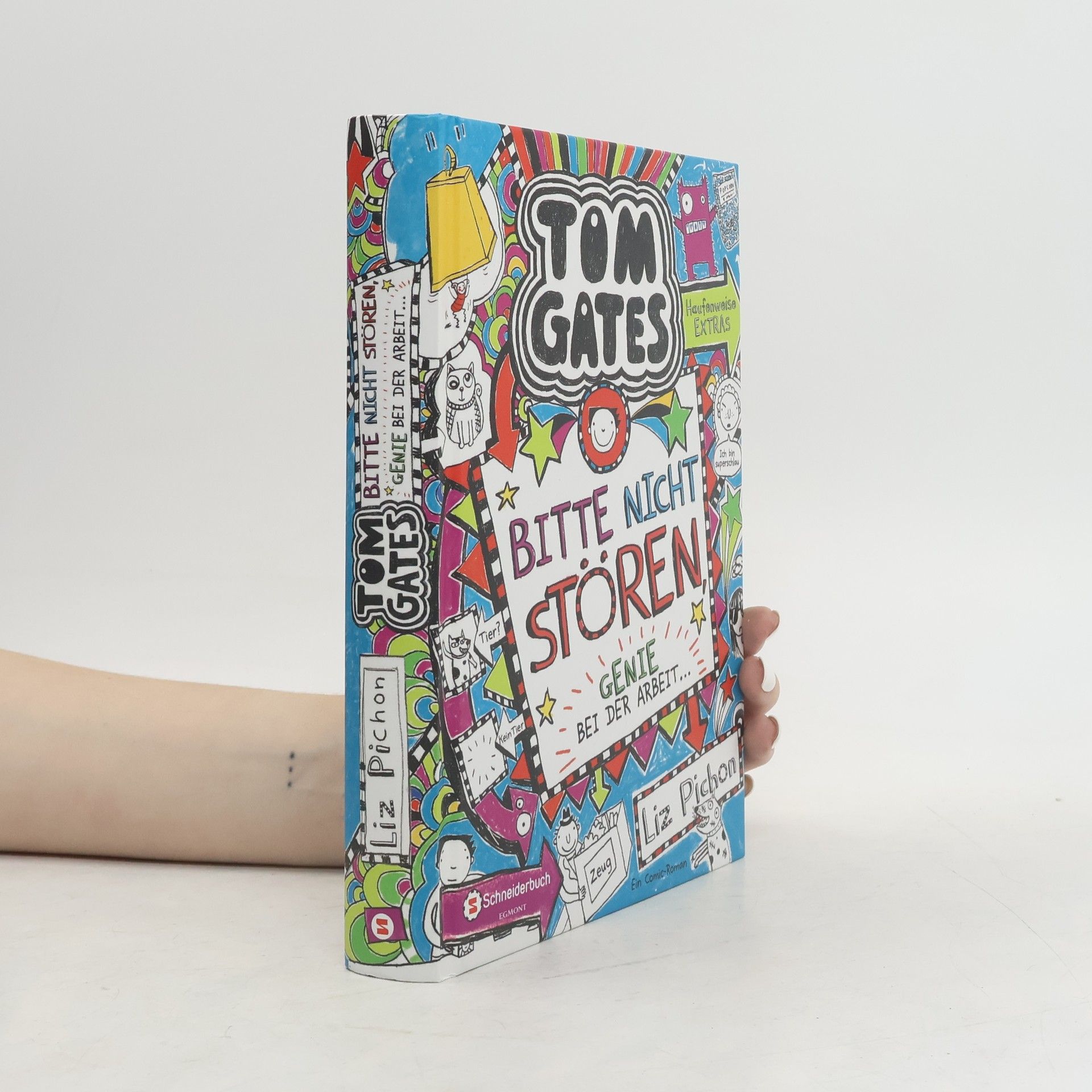 Liz Pichon Bitte nicht stören, Genie bei der Arbeit ...