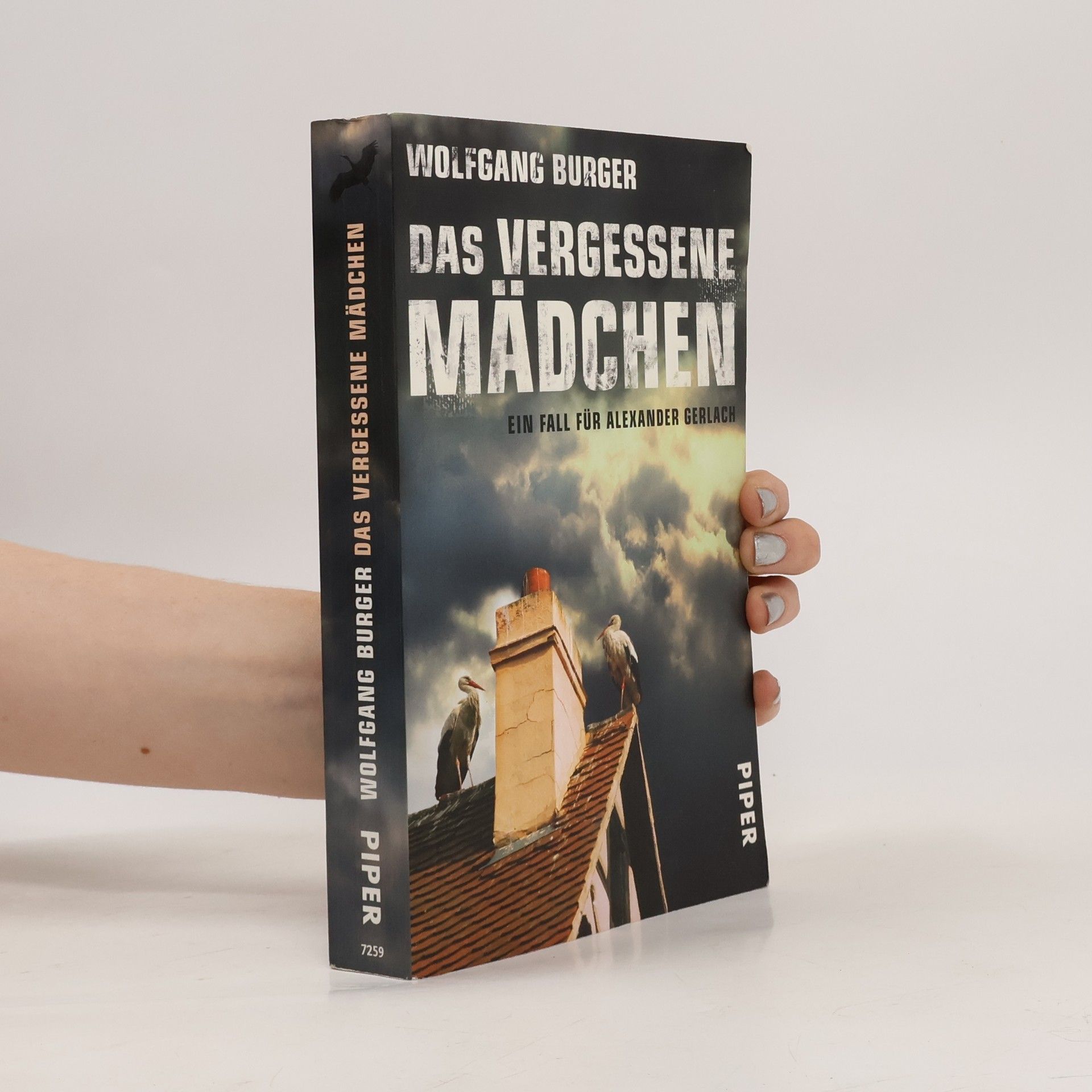 Wolfgang Burger Das vergessene Mädchen