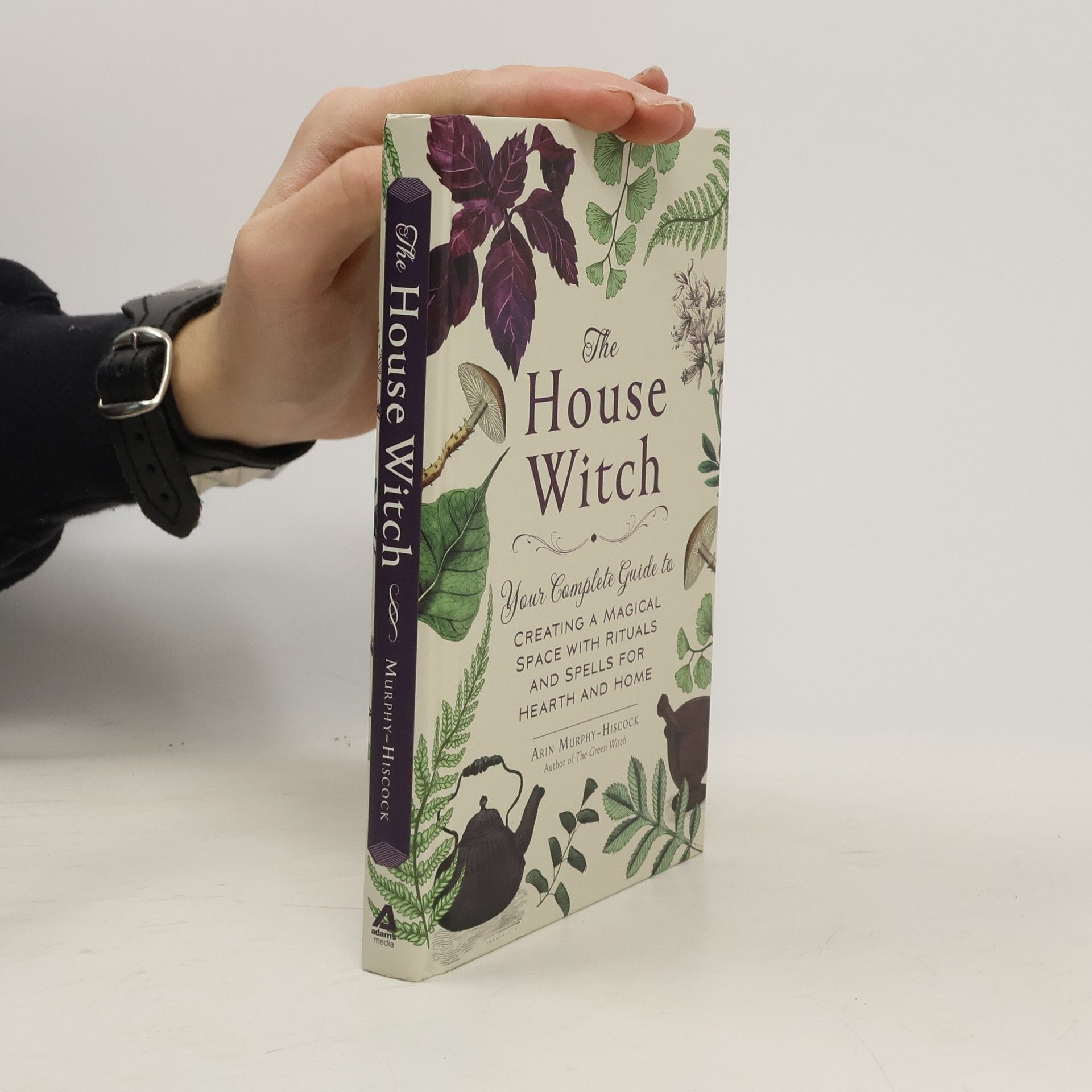 Arin Murphy-Hiscock The House Witch