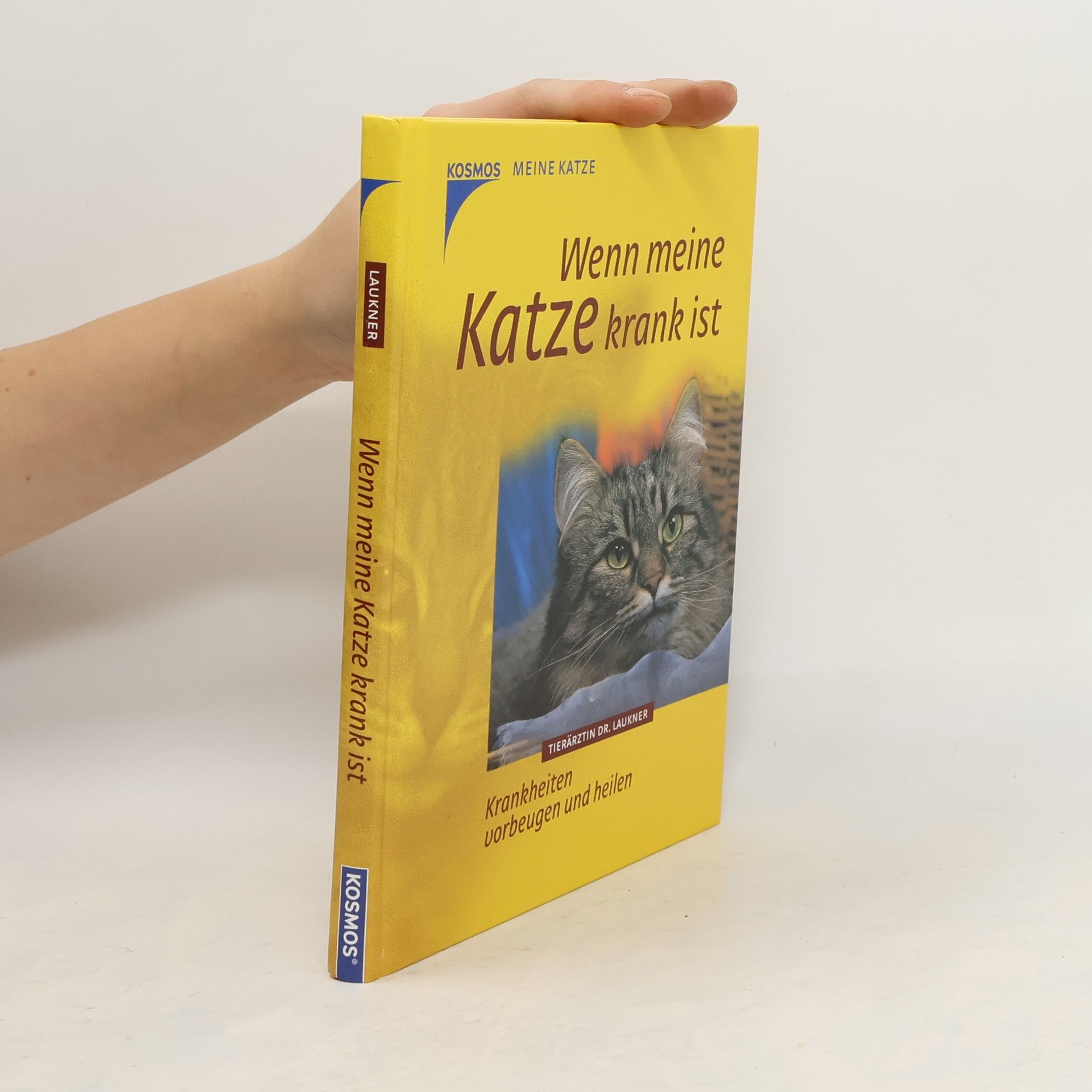 Anna Laukner Wenn meine Katze krank ist