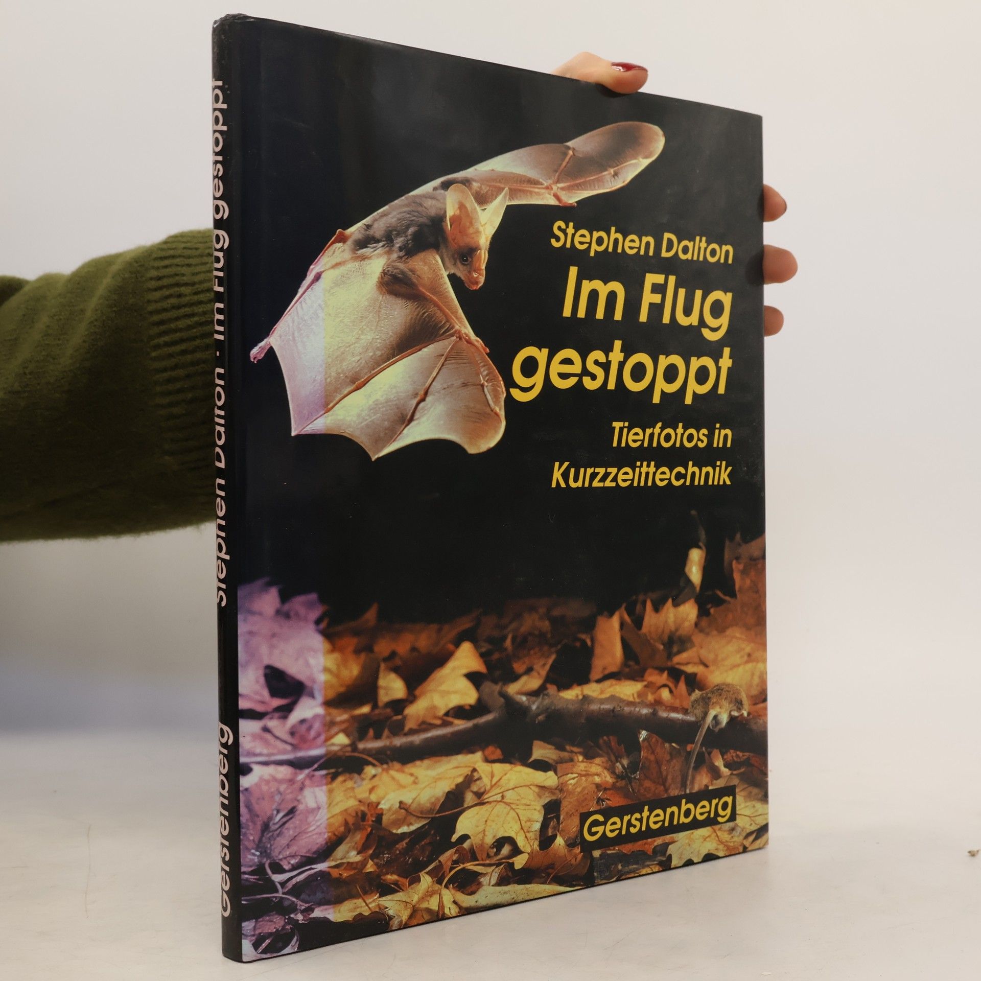 Stephen Dalton Im Flug gestoppt