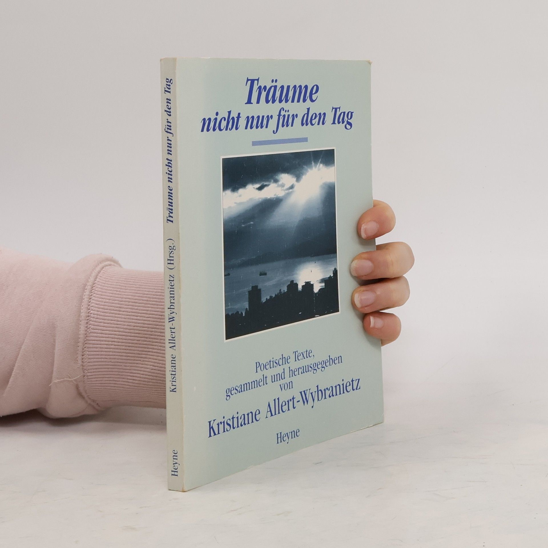 Kristiane Allert-Wybranietz Träume nicht nur für den Tag