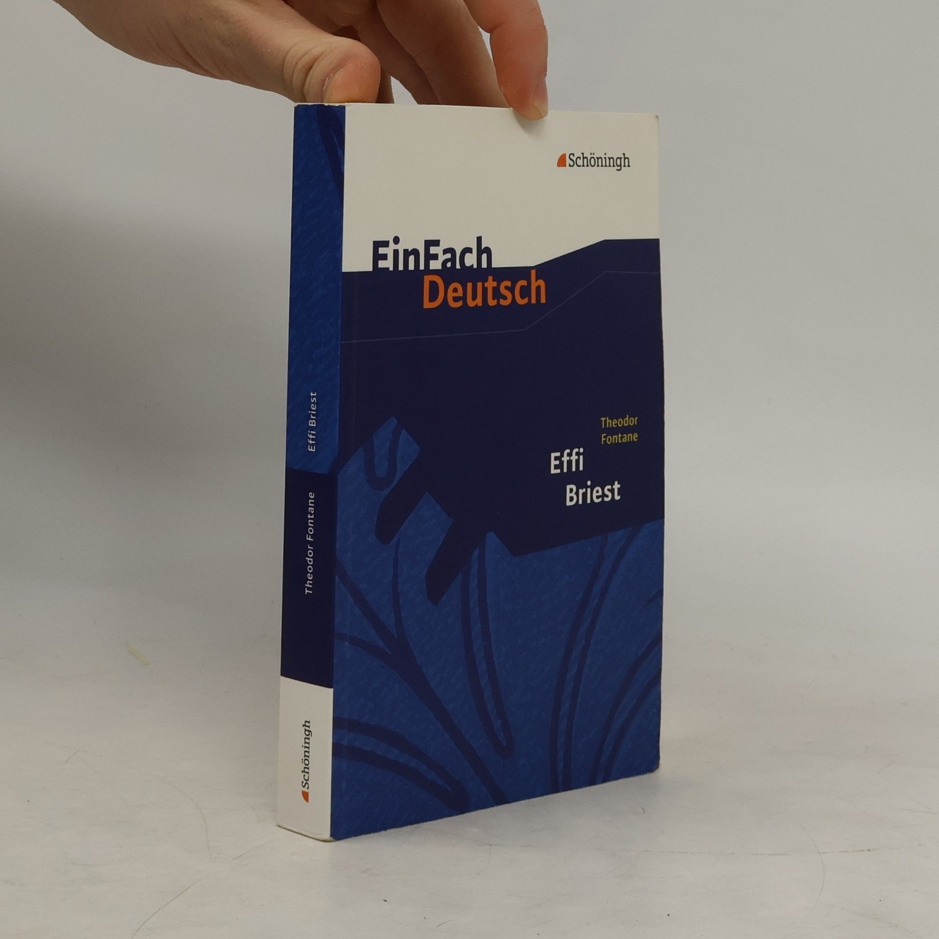 Theodor Fontane EinFach Deutsch: Theodor Fontane: Effi Briest