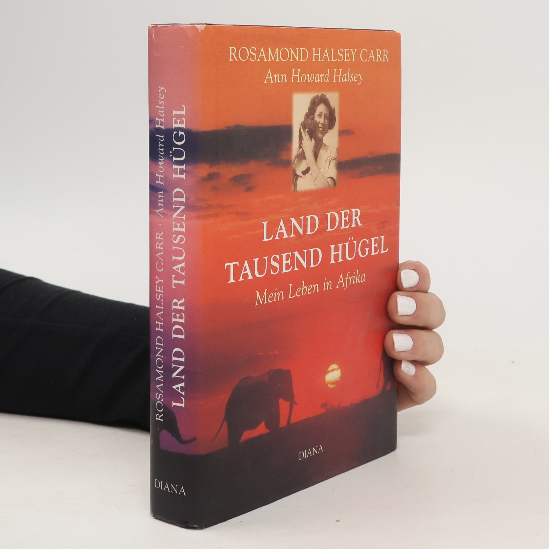 Rosamon Halsey Carr Land der tausend Hügel