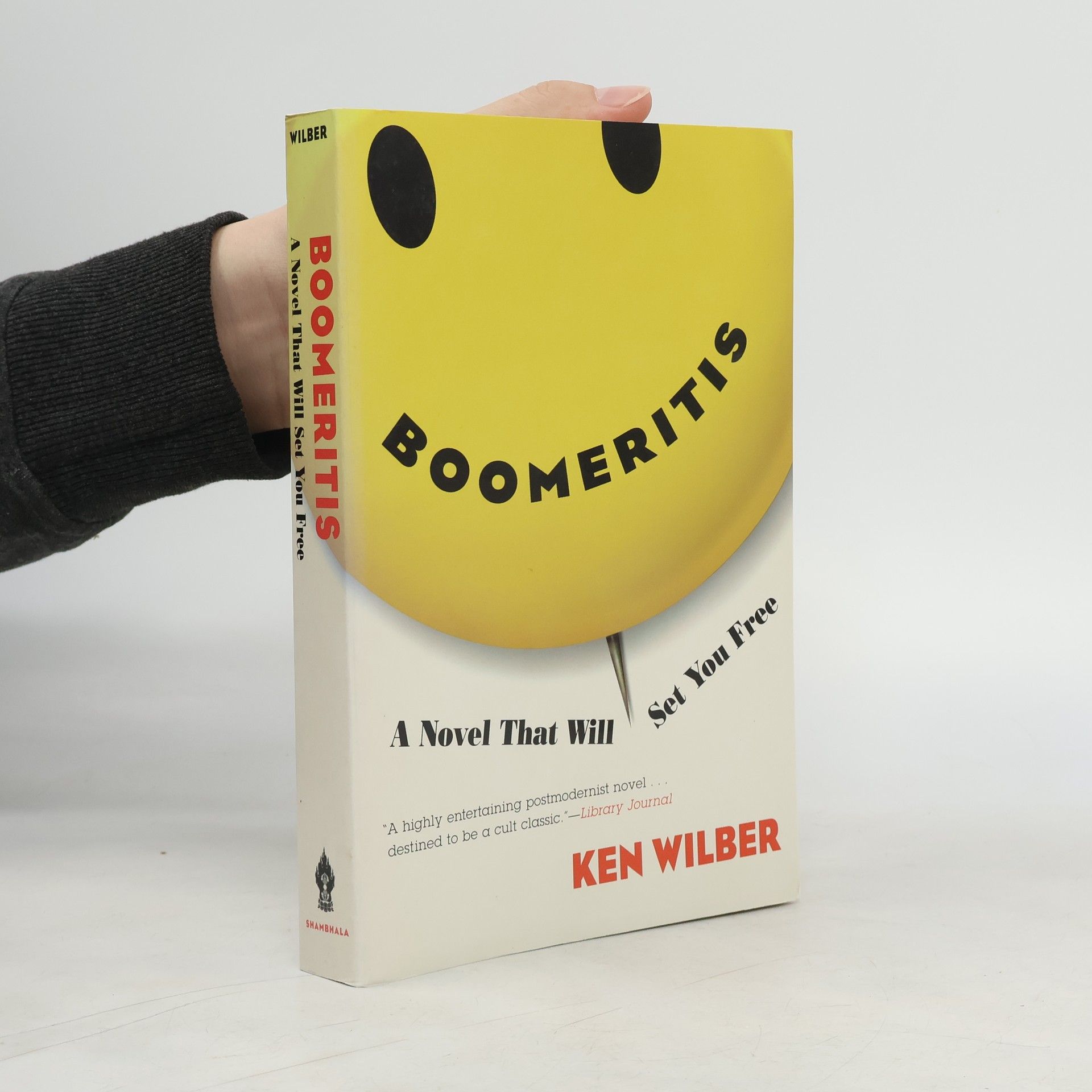 Ken Wilber Boomeritis
