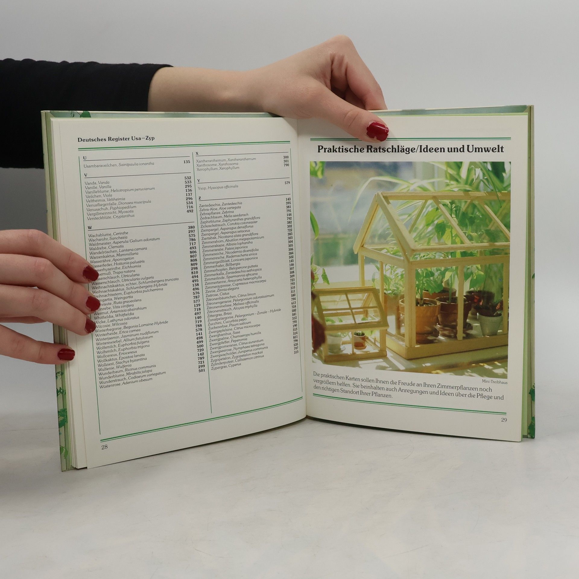 Autorenkollektiv Zimmerpflanzen von A-Z Handbuch
