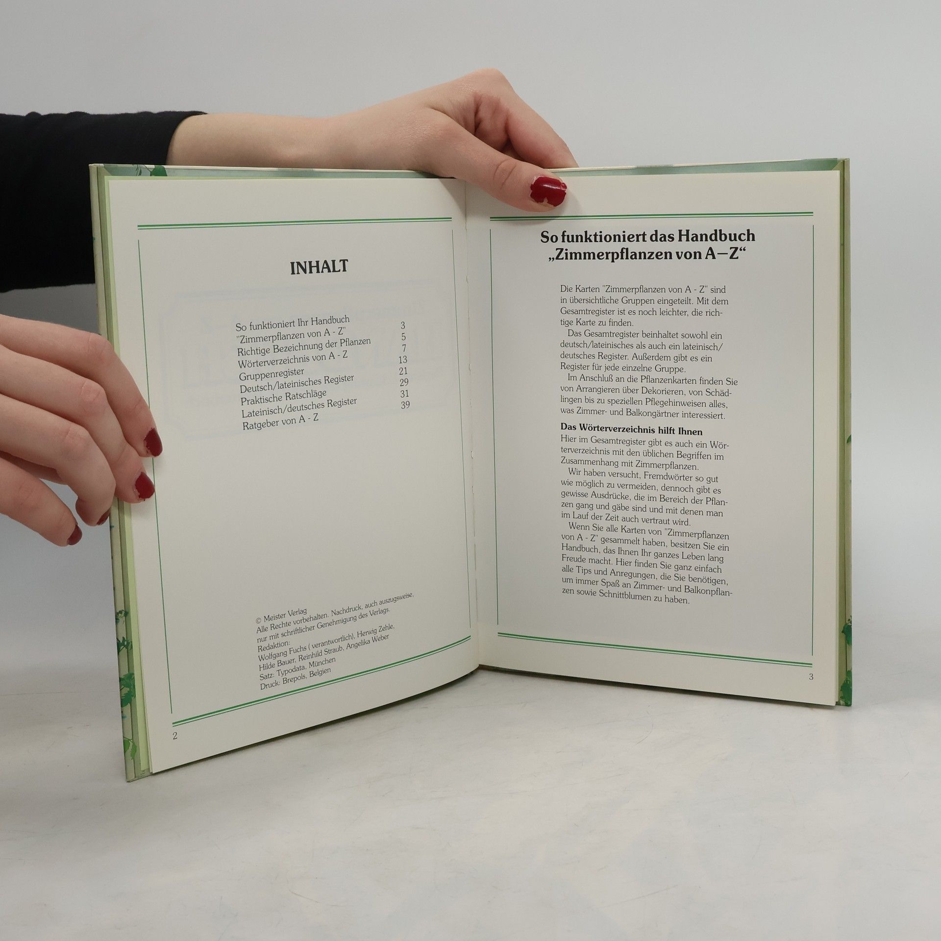 Autorenkollektiv Zimmerpflanzen von A-Z Handbuch