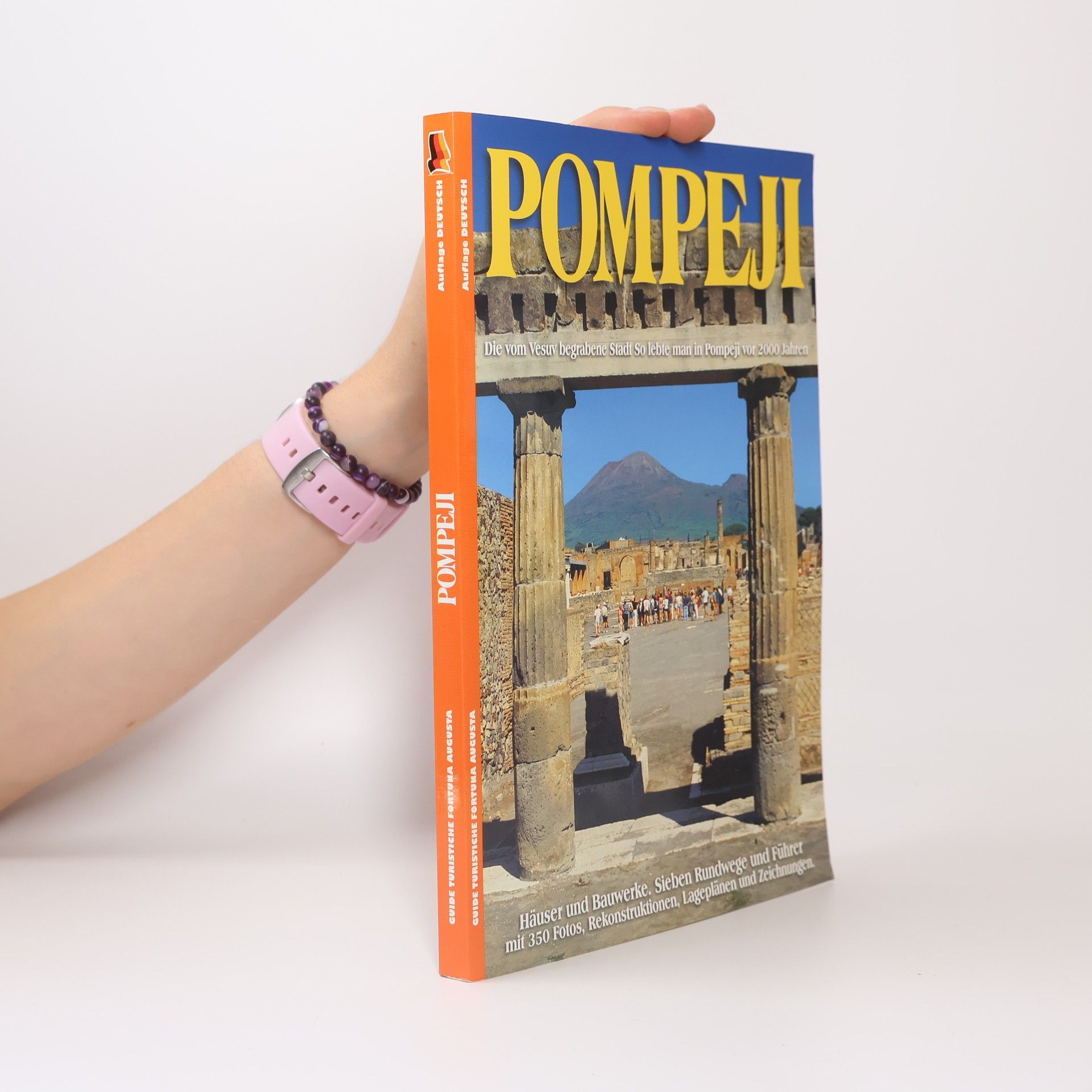 Auteurscollectief Pompeji. Führer des archäologischen Baudenkmals