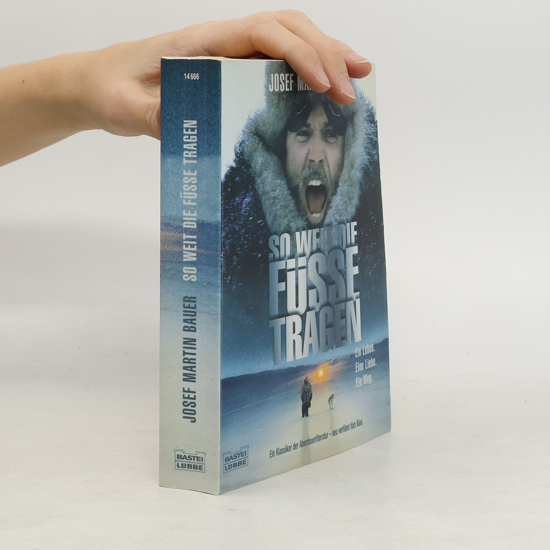 Josef Martin Bauer So weit die Füsse tragen