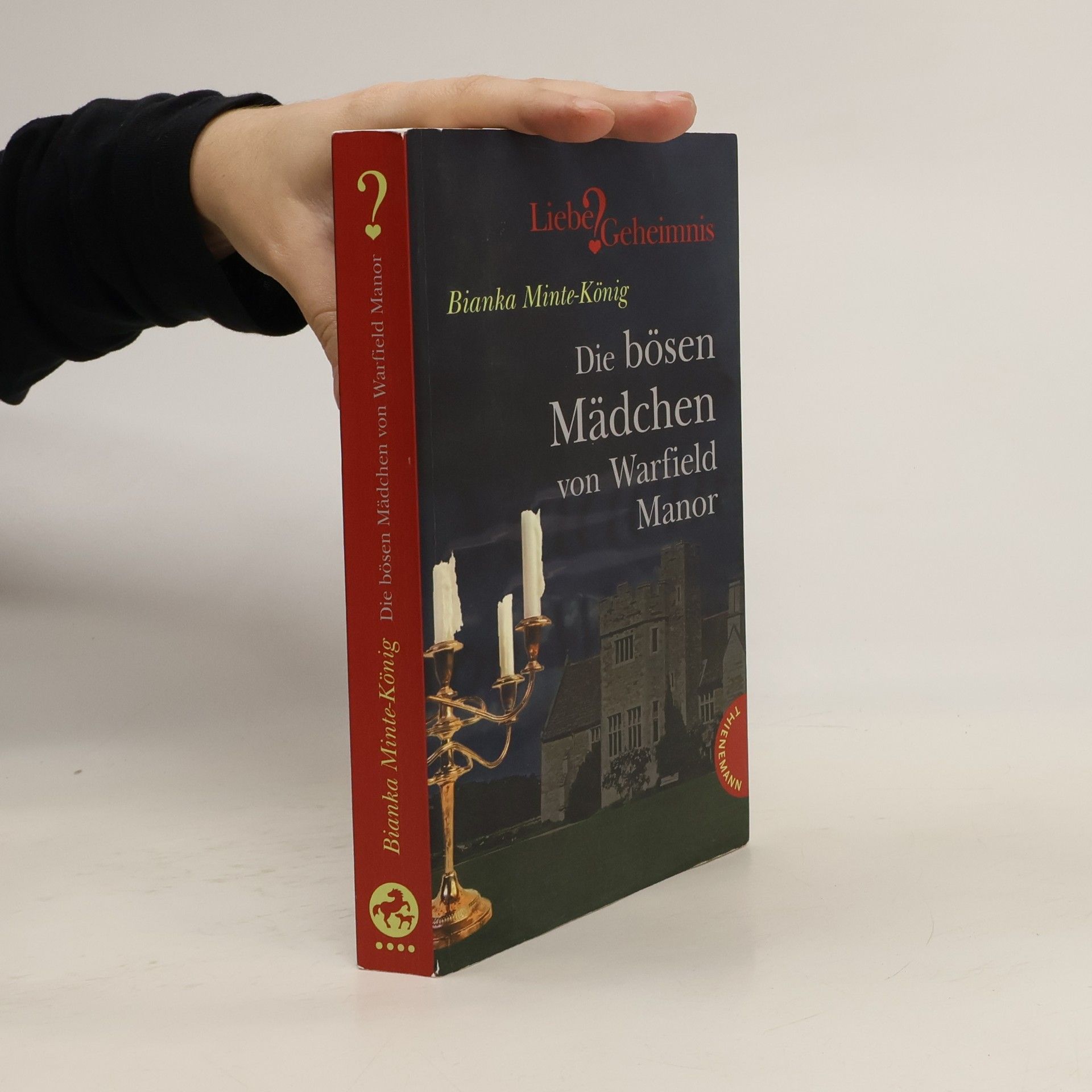 Bianka Minte-König Die bösen Mädchen von Warfield Manor