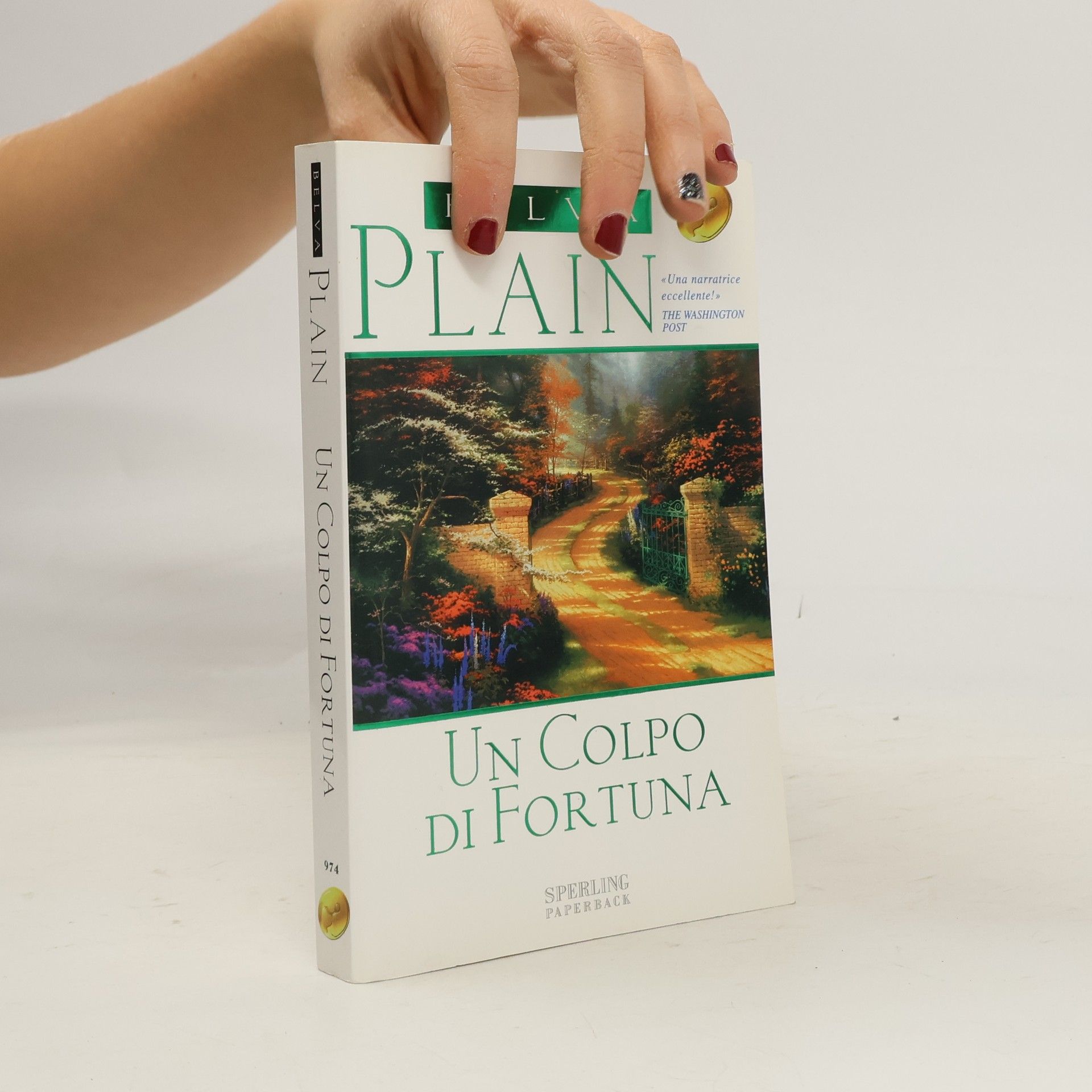 Belva Plain Un colpo di fortuna