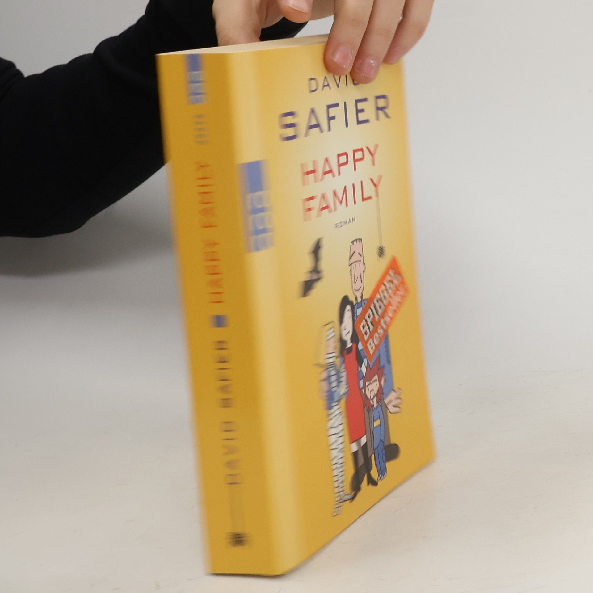 David Safier Happy Family