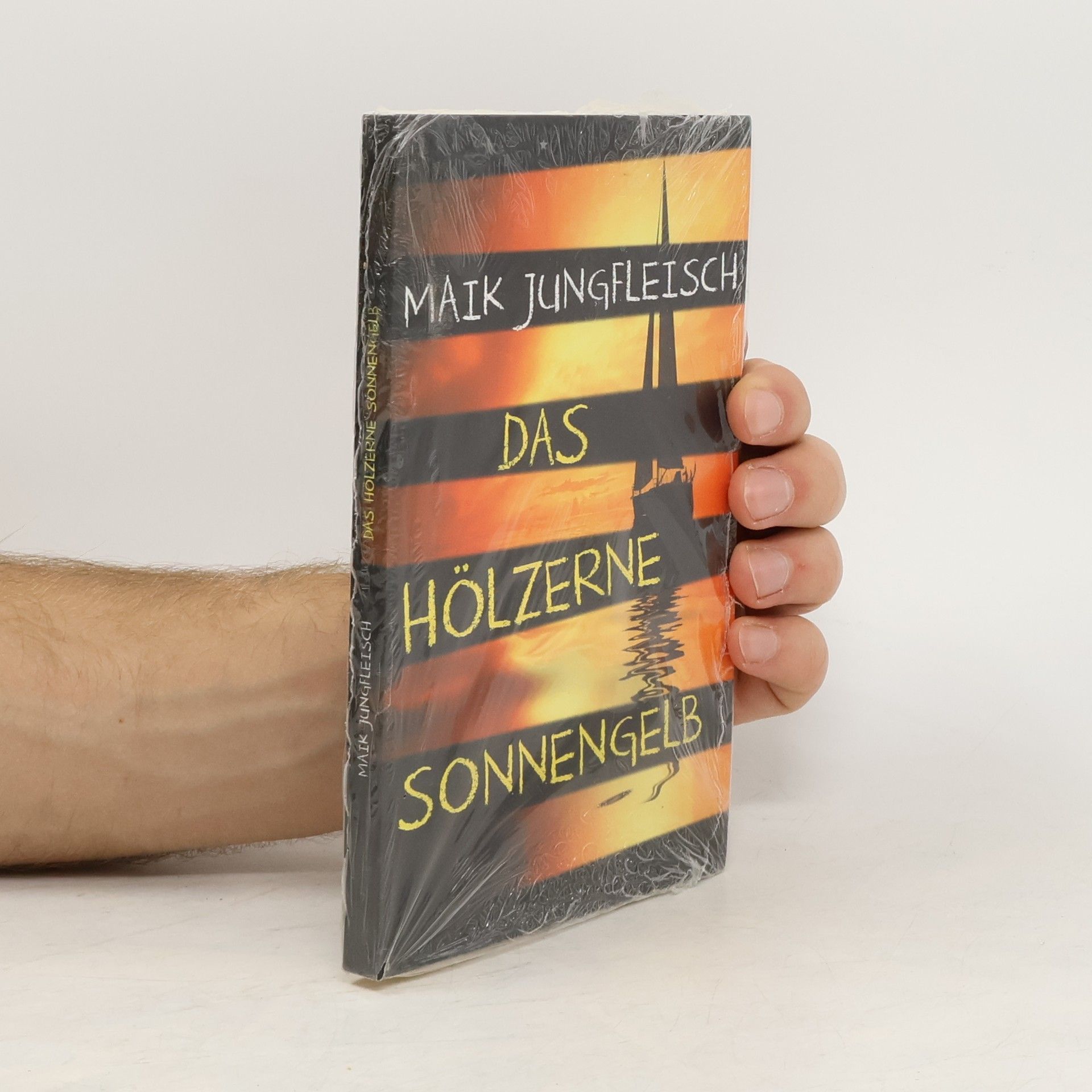 Maik Jungfleisch Das hölzerne Sonnengelb