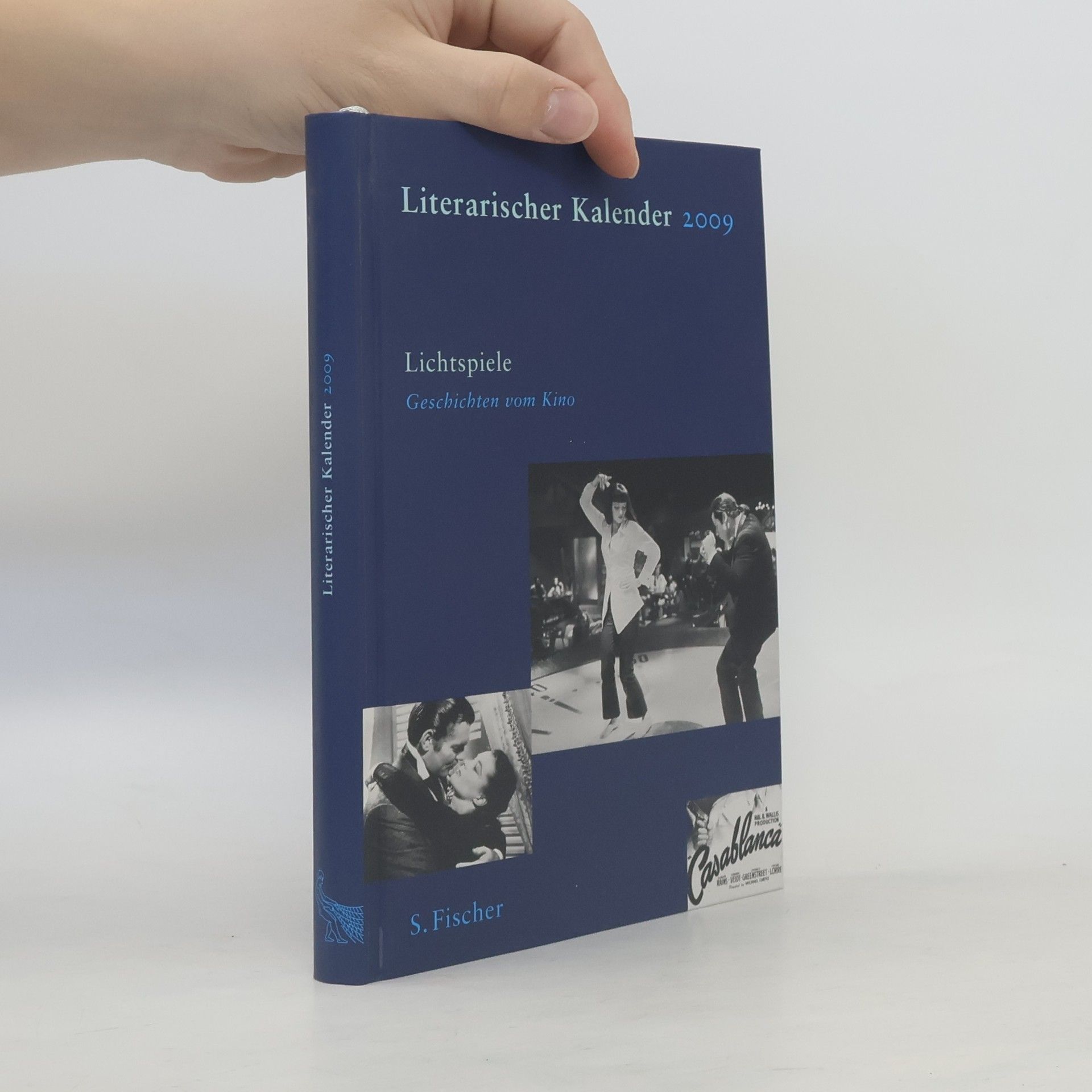 Autorenkollektiv Literarischer Kalender 2009. Lichtspiele. Geschichten vom Kino