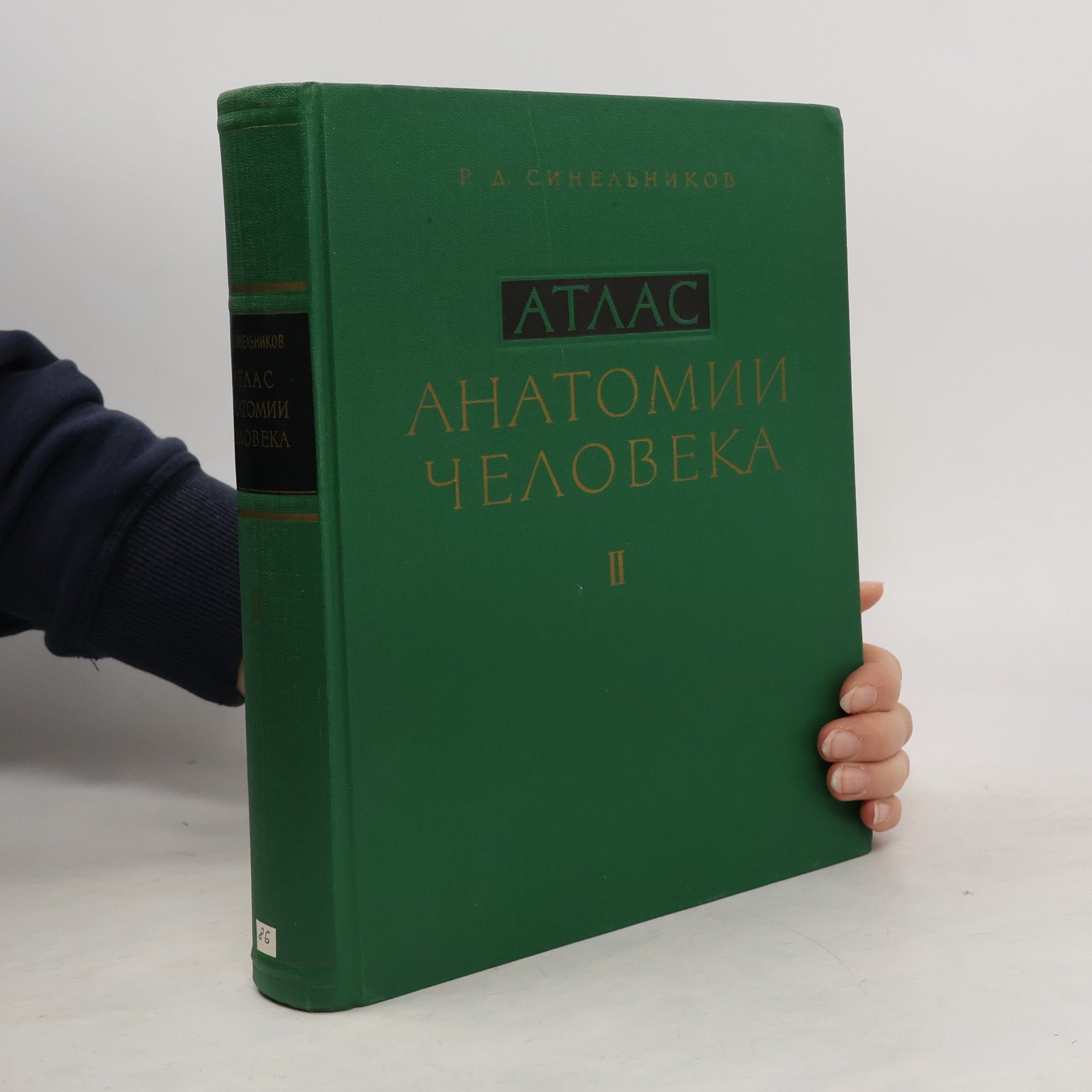 Атлас анатомии человека II