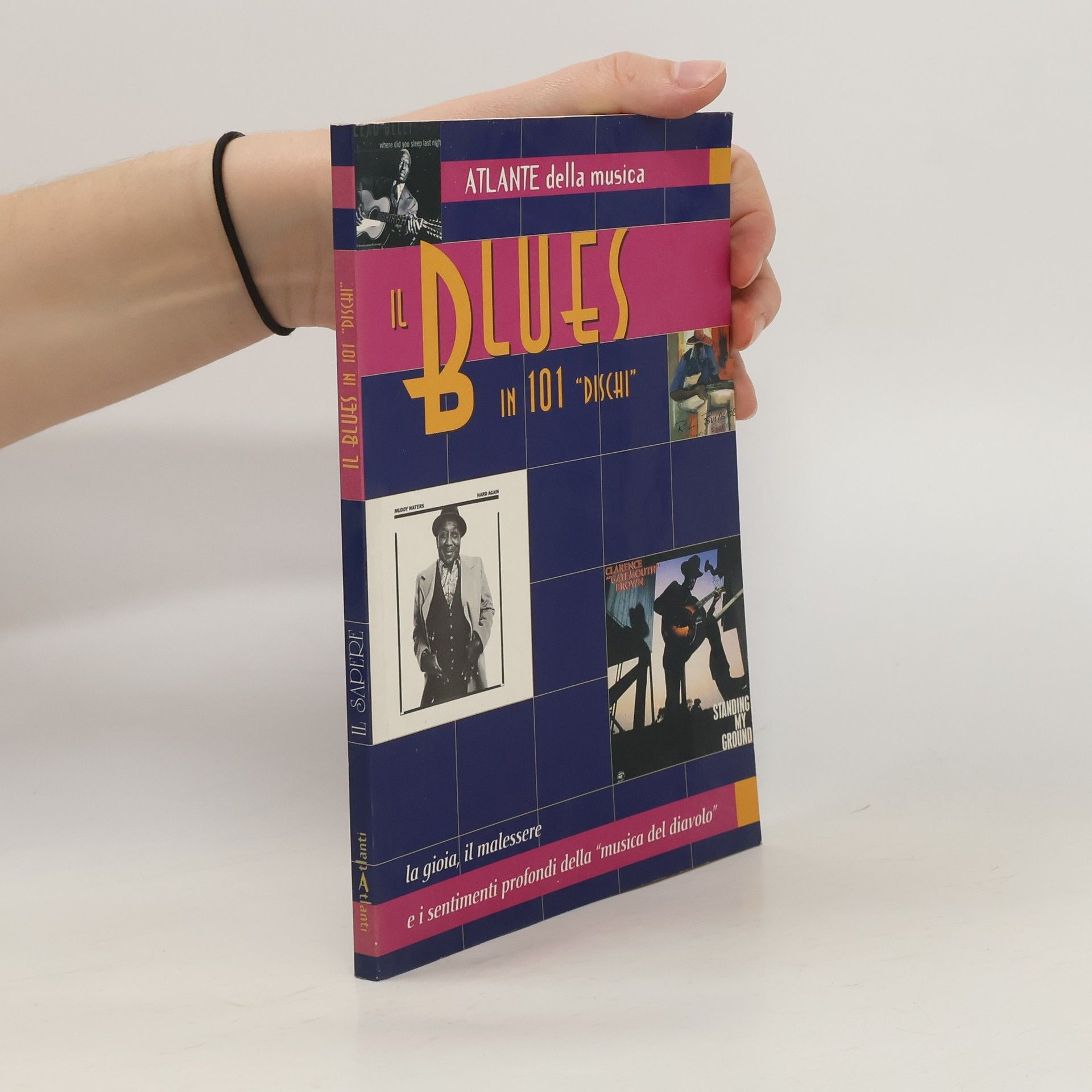 AA.VV. Il blues in 101 dischi