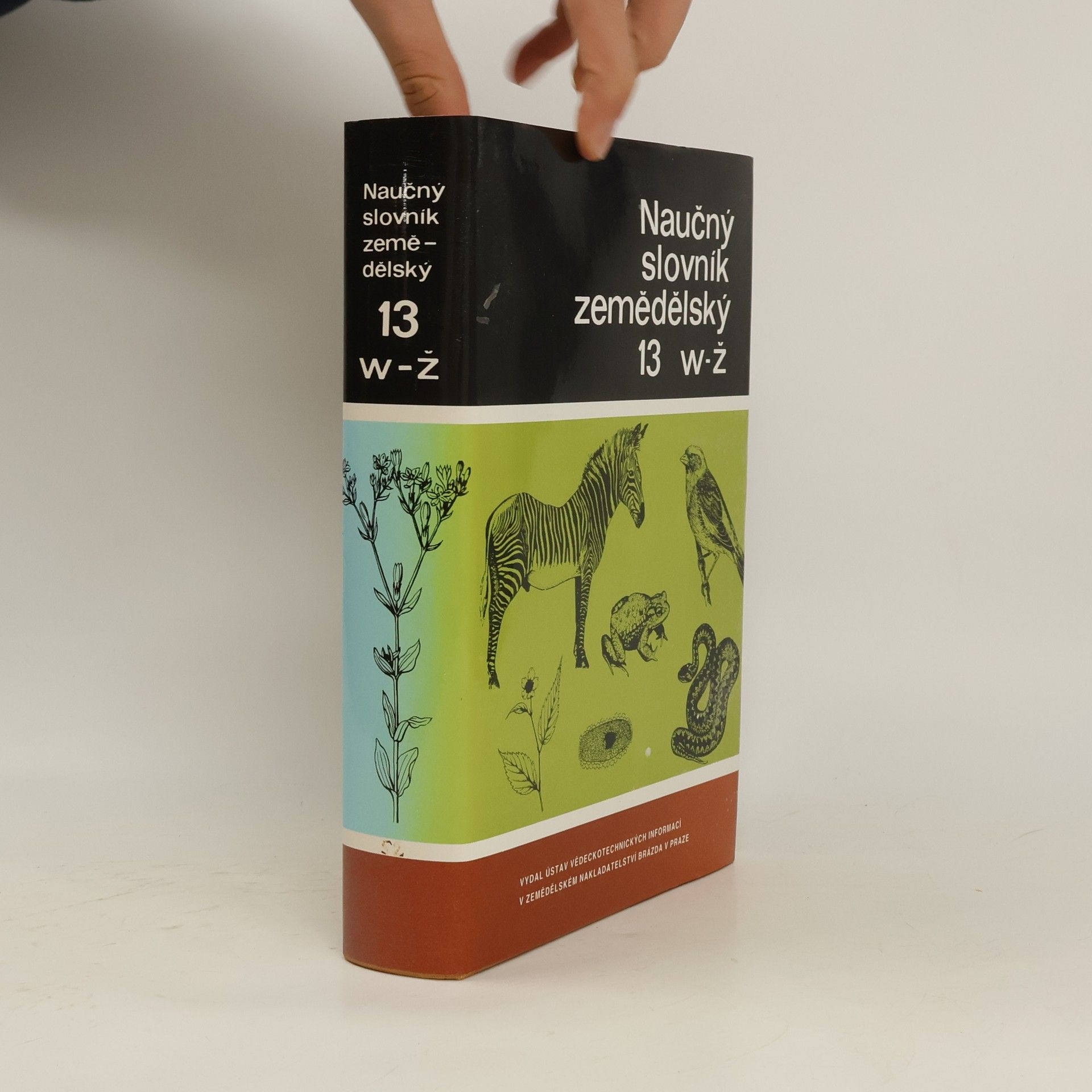 Kolektiv autorů Naučný slovník zemědělský. 13, W-Ž