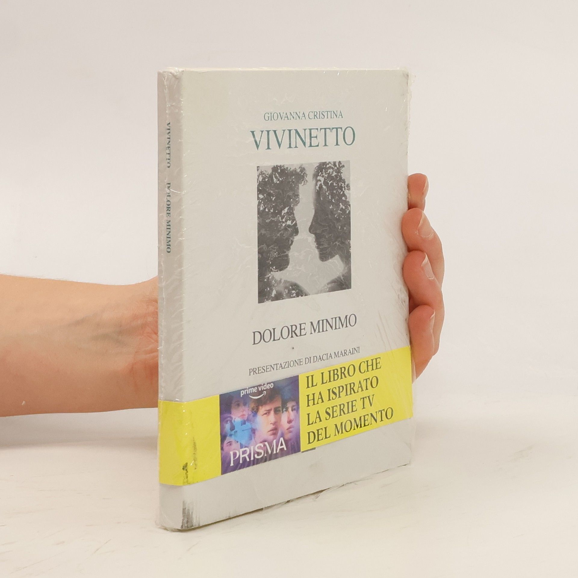 Giovanna Cristina Vivinetto Dolore minimo