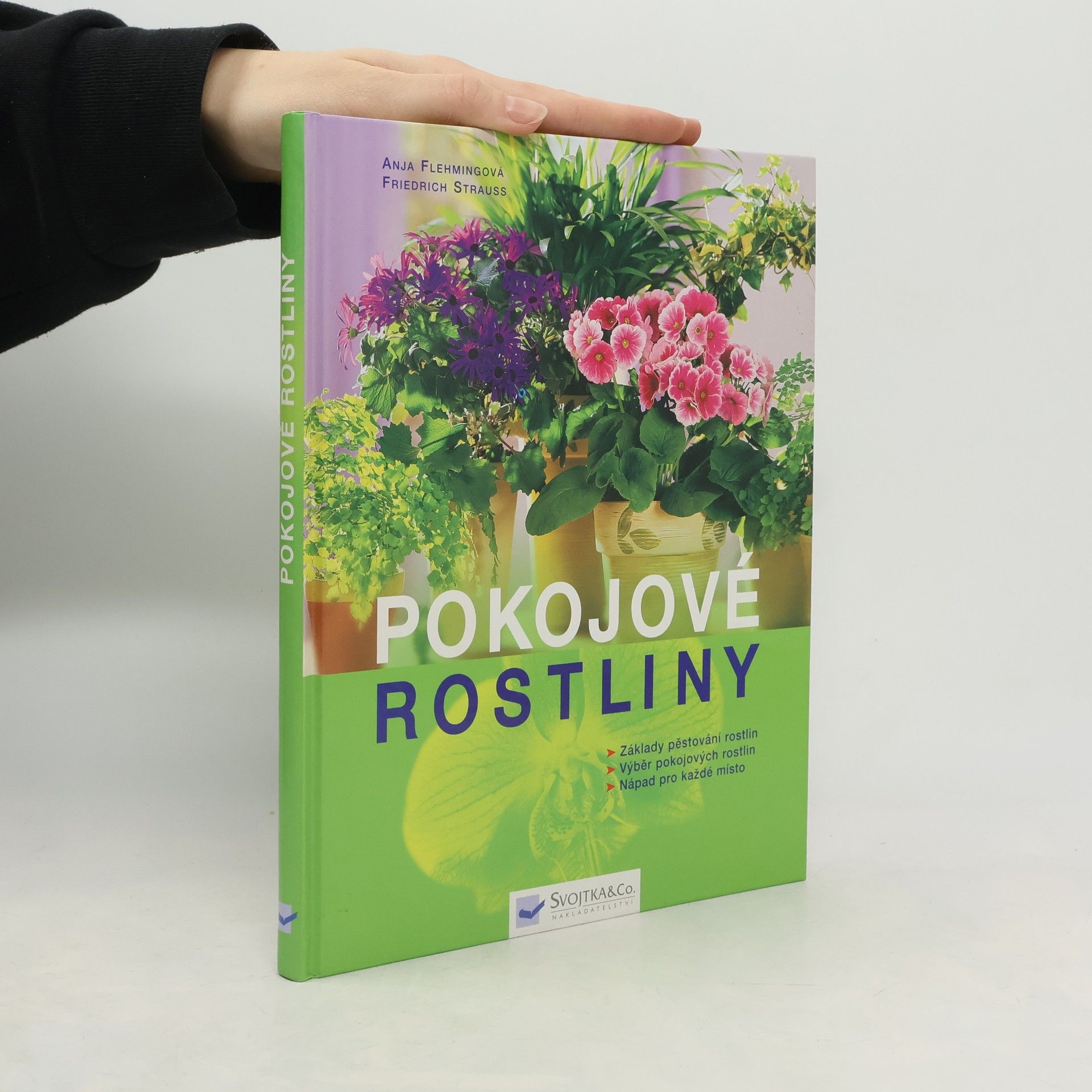 Anja Flehming Pokojové rostliny