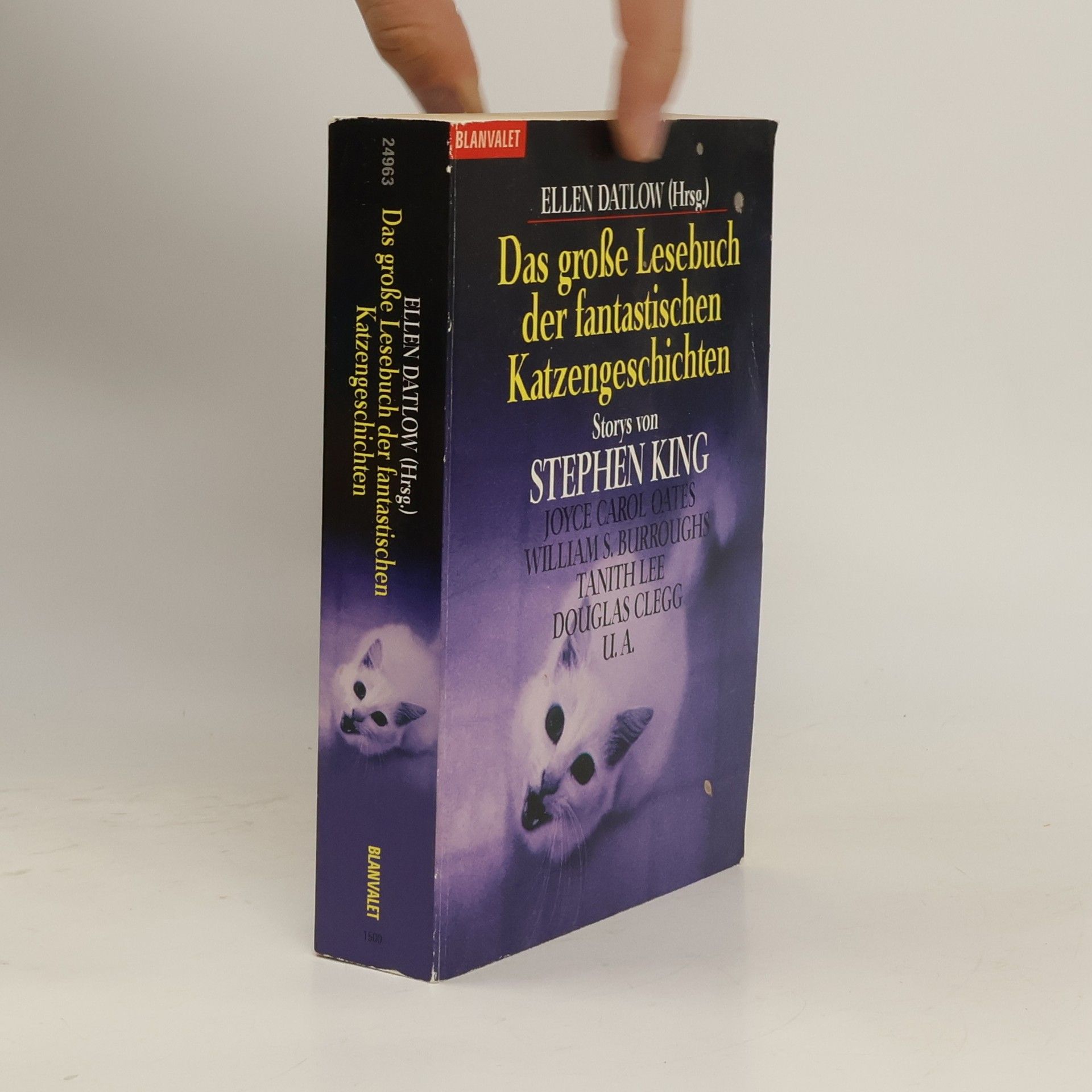 Ellen Datlow Das große Lesebuch der fantastischen Katzengeschichten