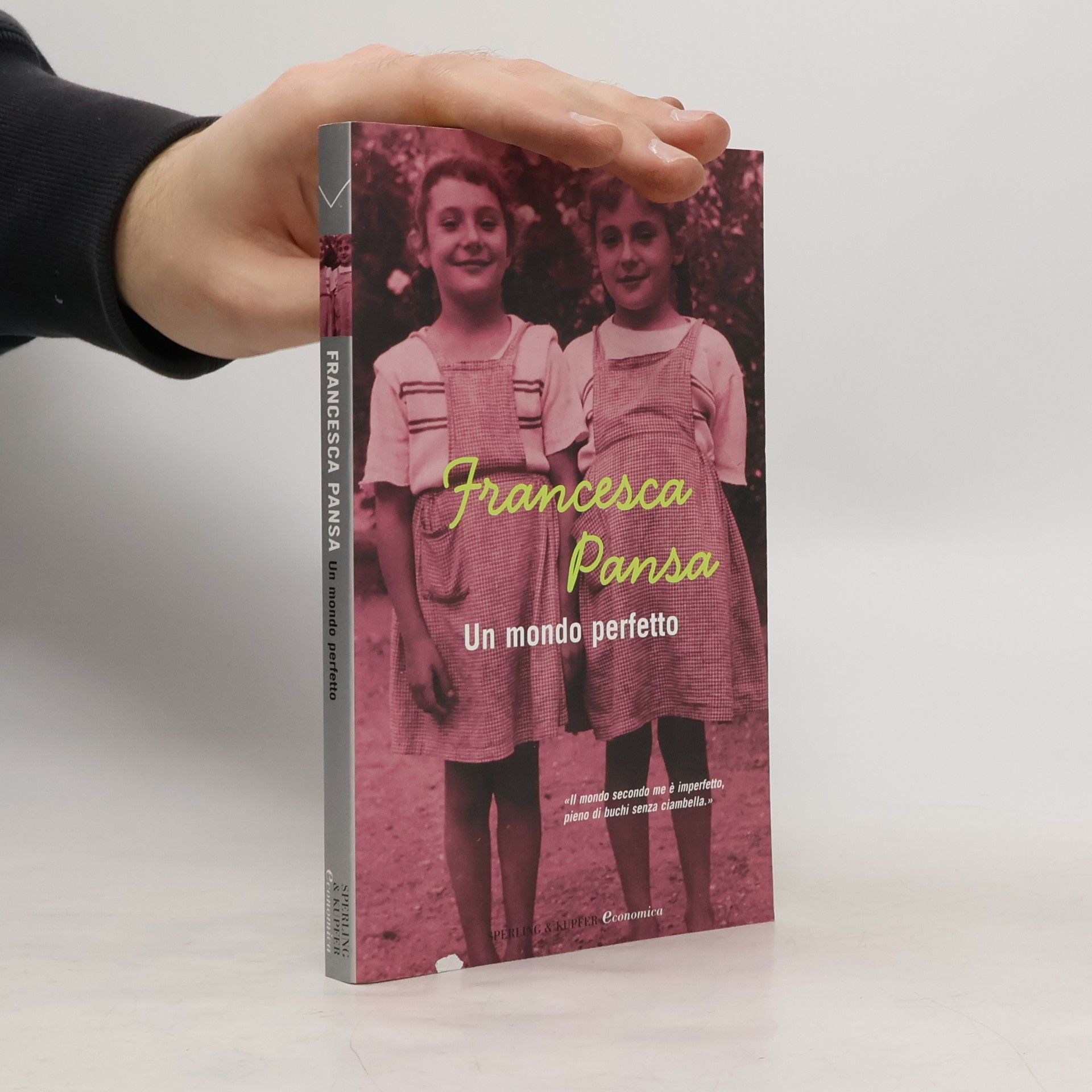 Francesca Pansa Un mondo perfetto