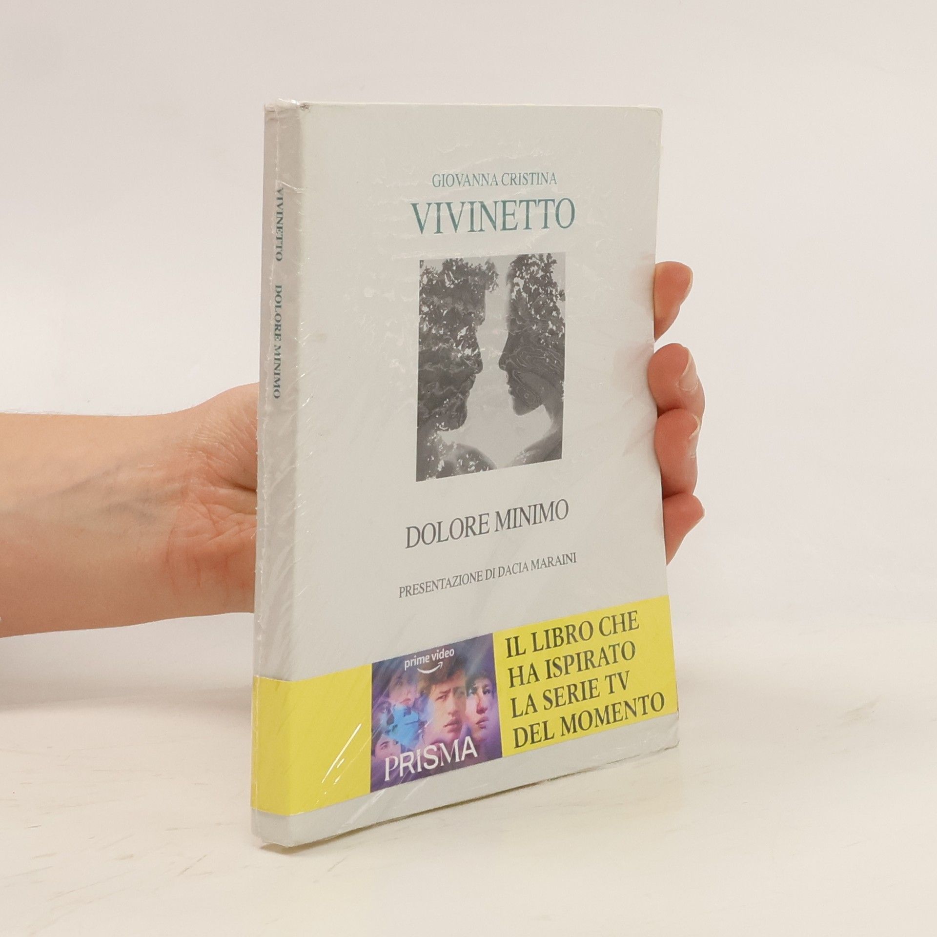 Giovanna Cristina Vivinetto Dolore minimo