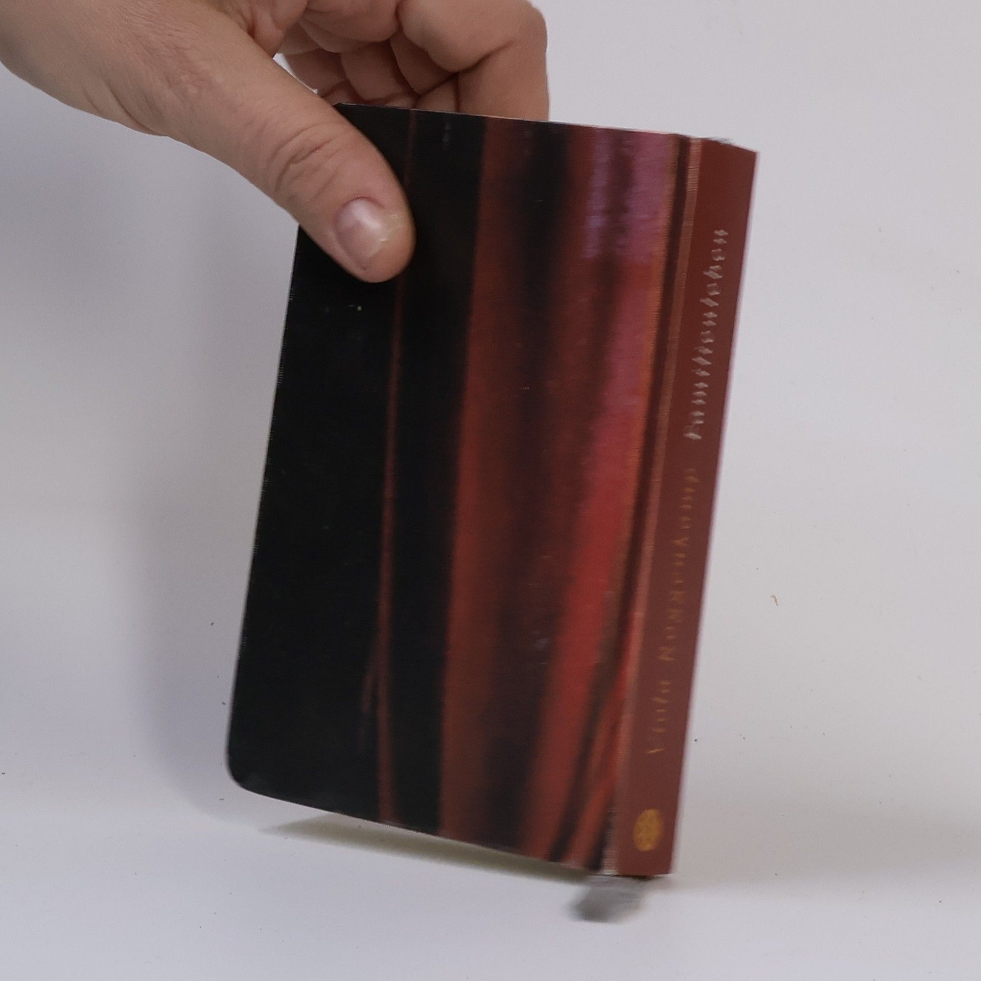 Viola Roggenkamp Familienleben