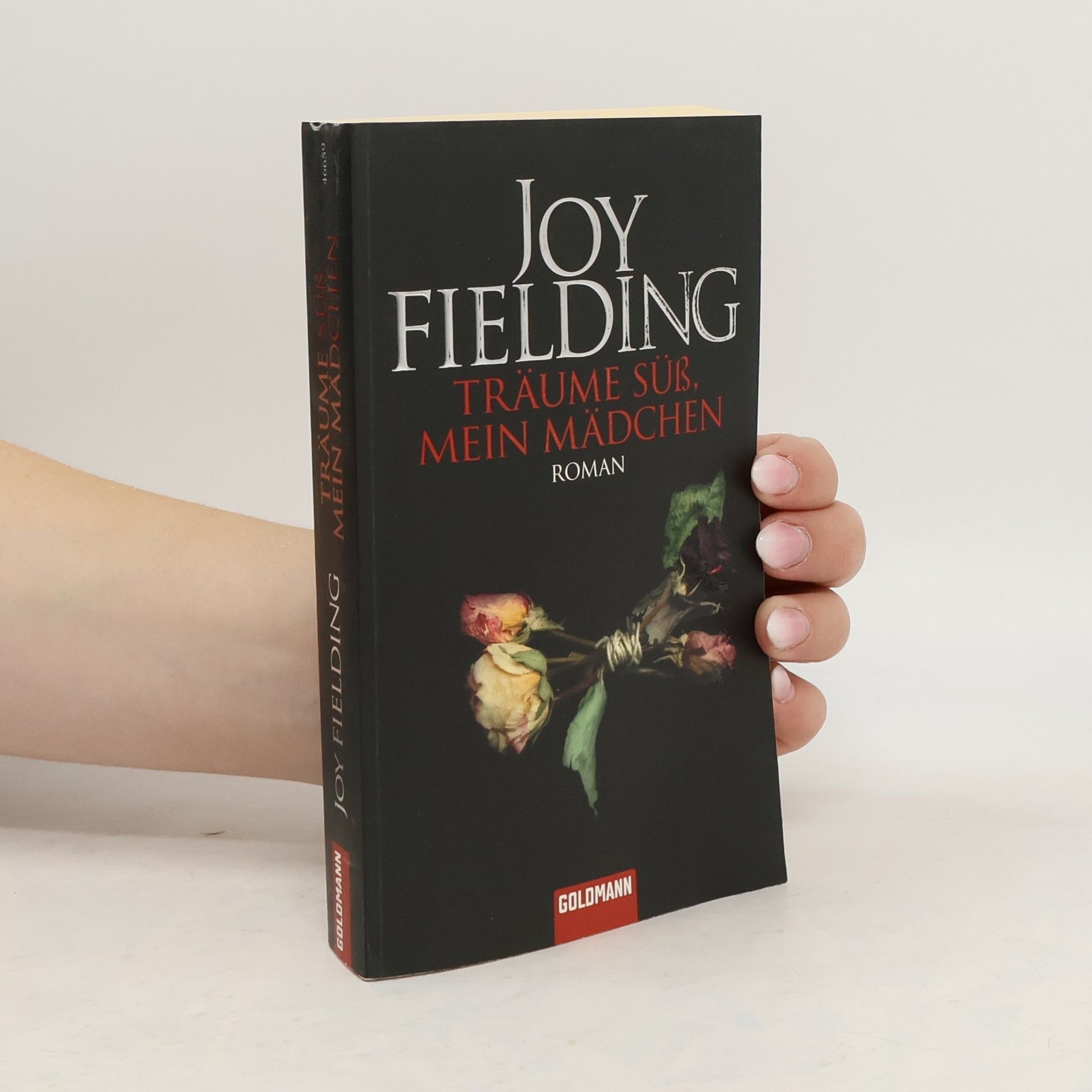 Joy Fielding Träume süss, mein Mädchen