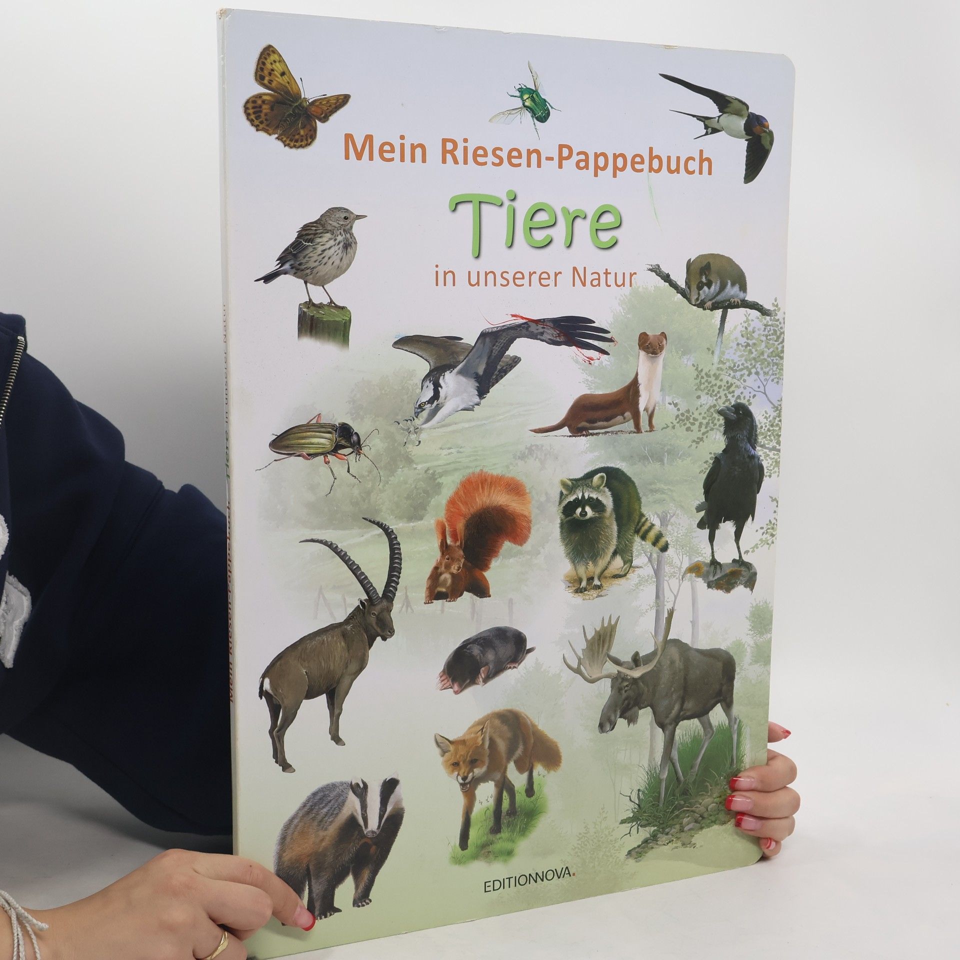 Autorenkollektiv Mein Riesen-Pappebuch Tiere in unserer Natur